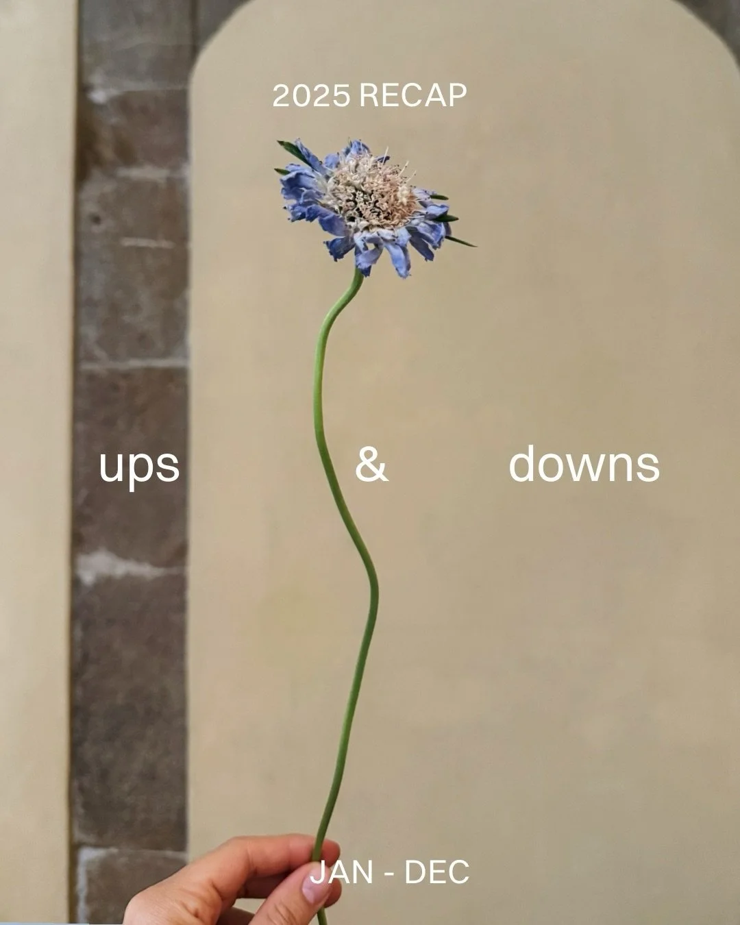 2025 🪐 A little bit outside of my usual comfort zone on this one but here are my ups and downs of the year that has just passed. 

It started slower than expected, with cancelled projects and an empty work calendar. The first time this happened sinc