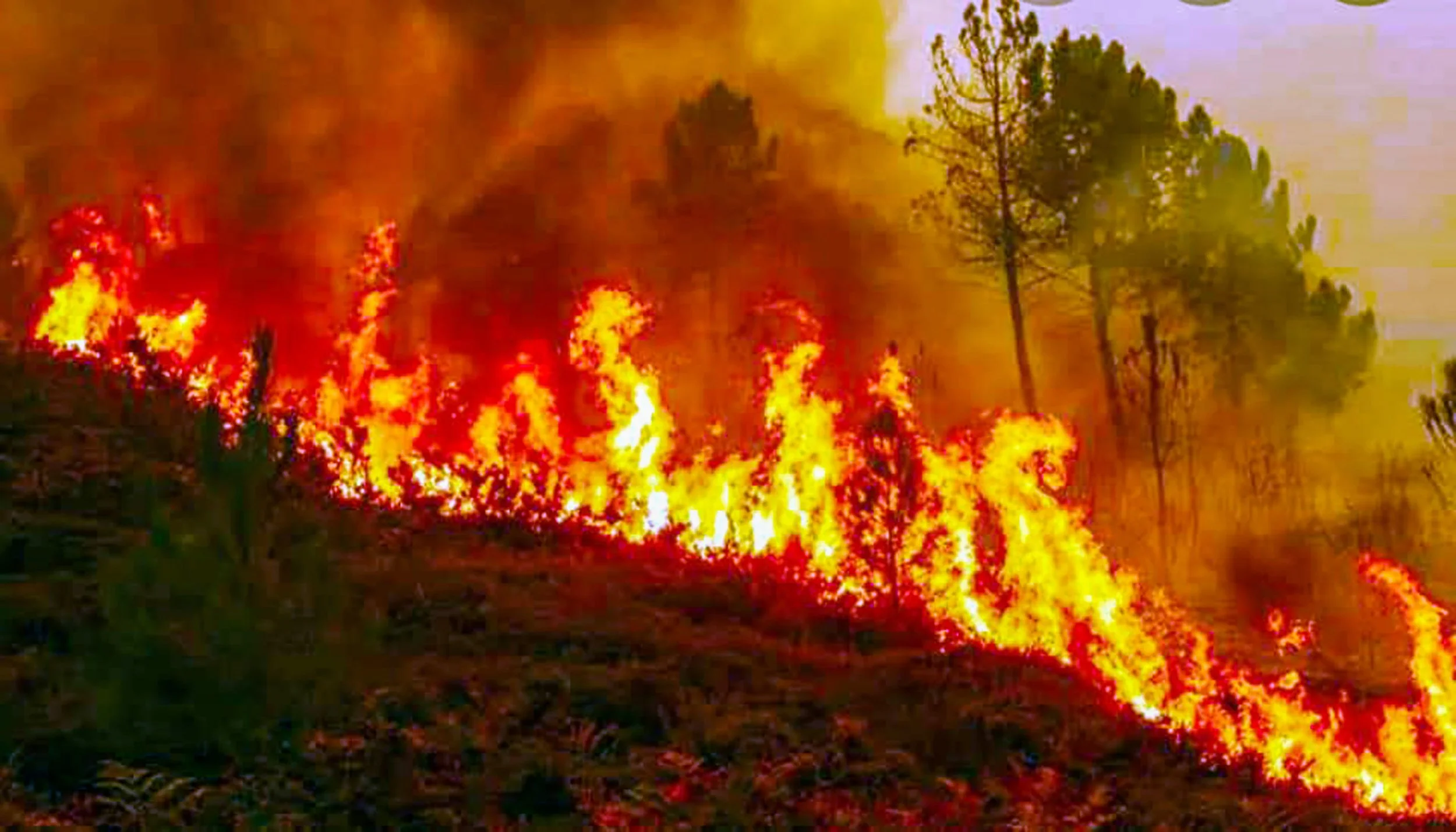 How Safe Deposit Boxes Protect Against Theft, Fire &amp; Natural Disasters — Why You Should Act Now