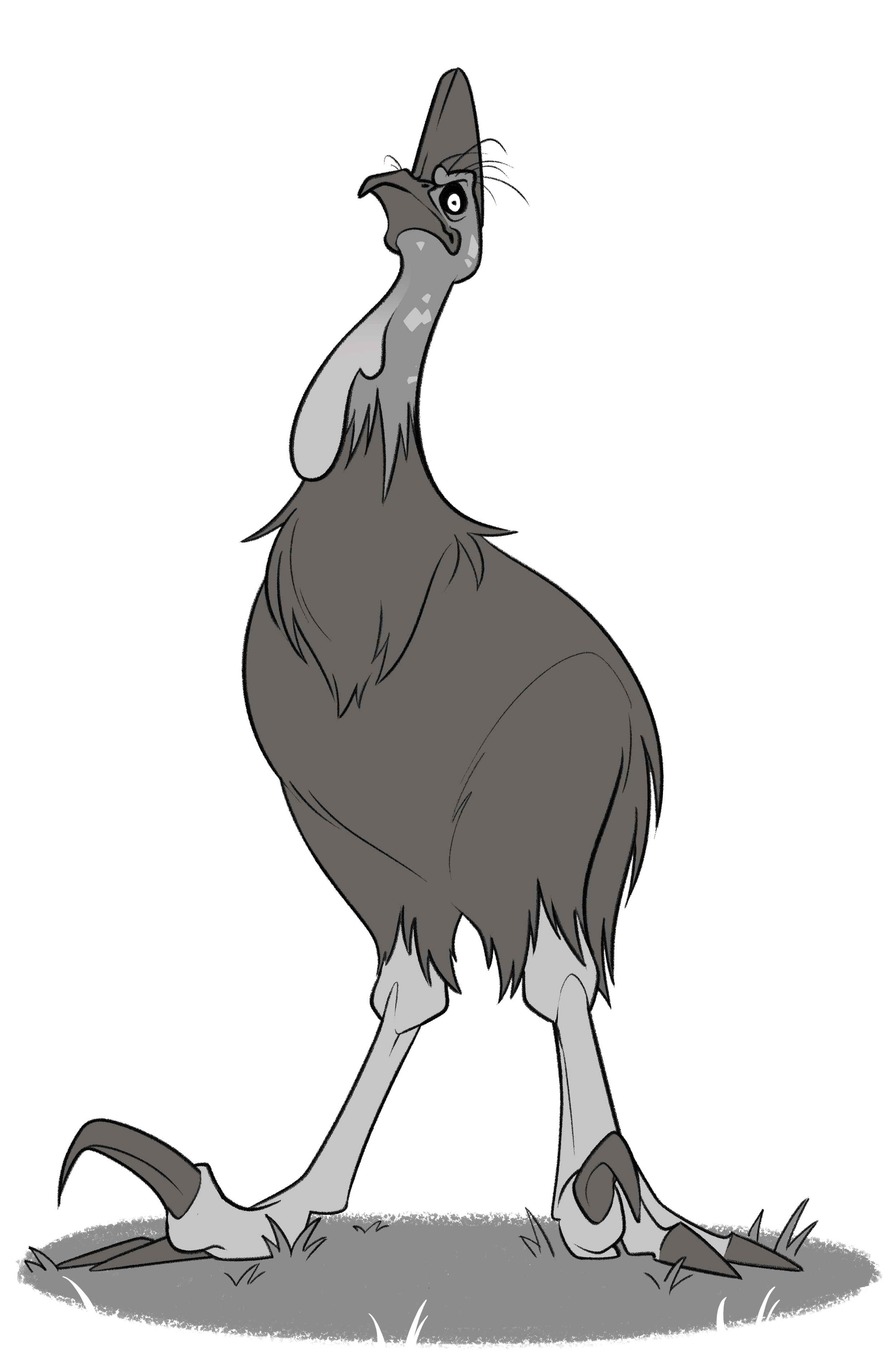 CASSOWARY-FINAL.png