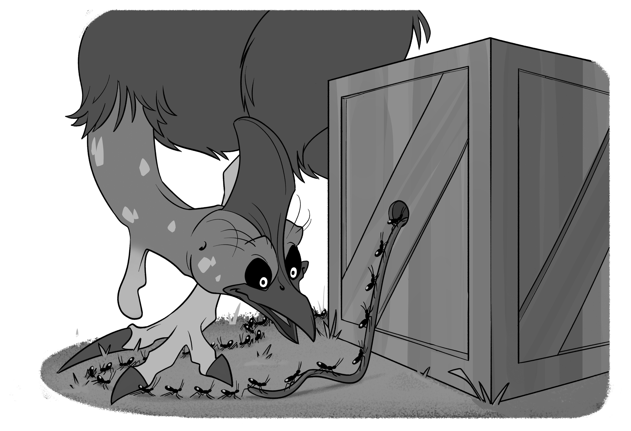 CAZZA-SEES-THE-ANTS.png