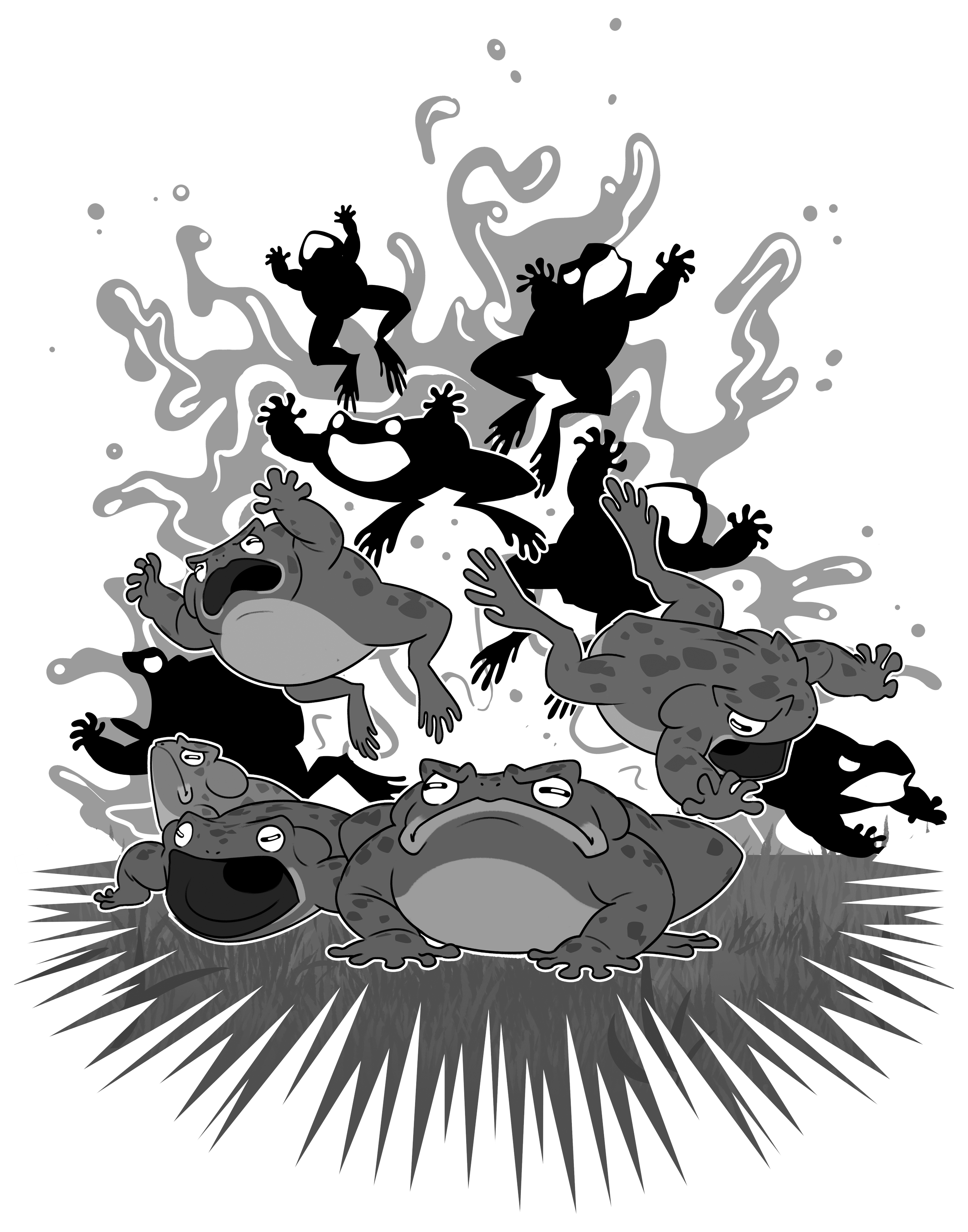 Cane-Toad-Reveal.png