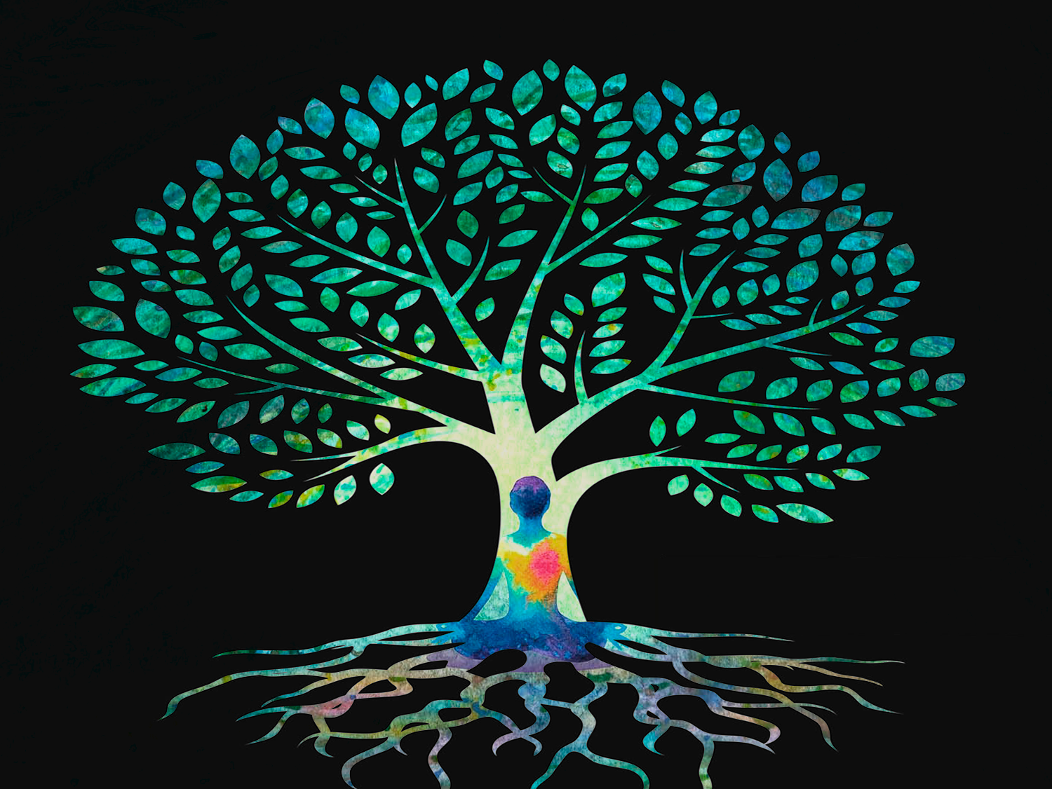 Talleres Presenciales