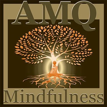 Academia Mindfulness Querétaro