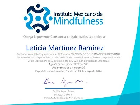 Constancia Instructor Mindfulness
