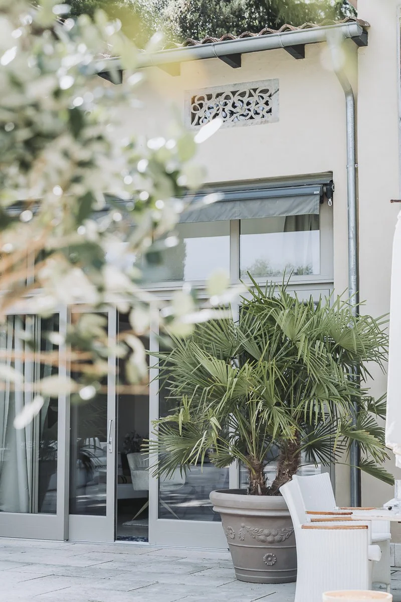 A potted palm tree on a patio outside a house with sliding glass doors, a white chair, and a window with a sliding blind, with greenery and trees in the background.