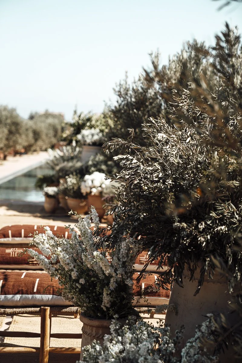 Outdoor scene with potted plants and trees, sunlit with a clear sky.