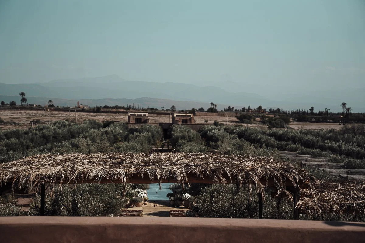 A rustic outdoor setting with straw-covered roof, lush green plants, and a swimming pool in the distance, with mountains on the horizon under a clear blue sky.