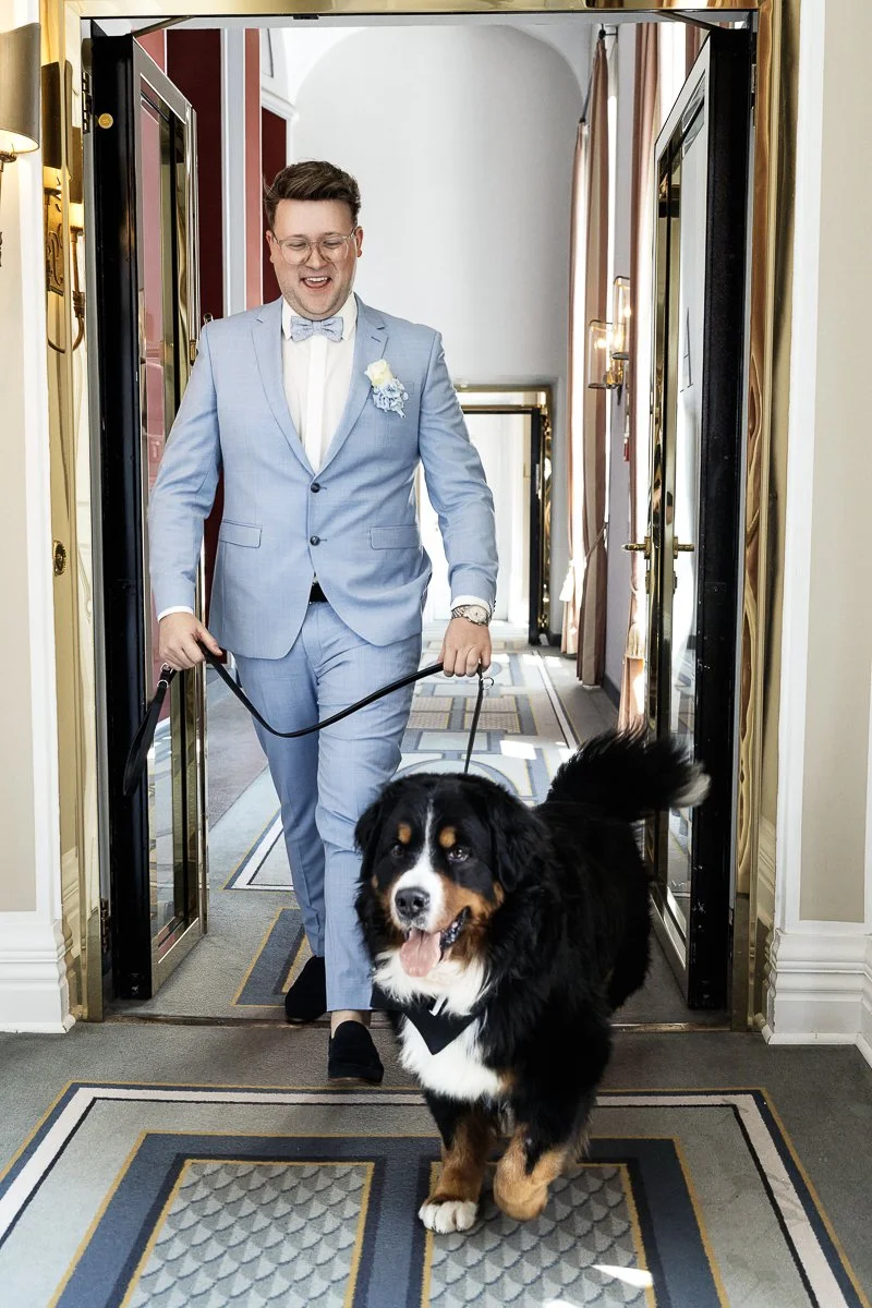 Hochzeitsgast im hellblauen Anzug führt den Berner Sennenhund durch den Schlossflur