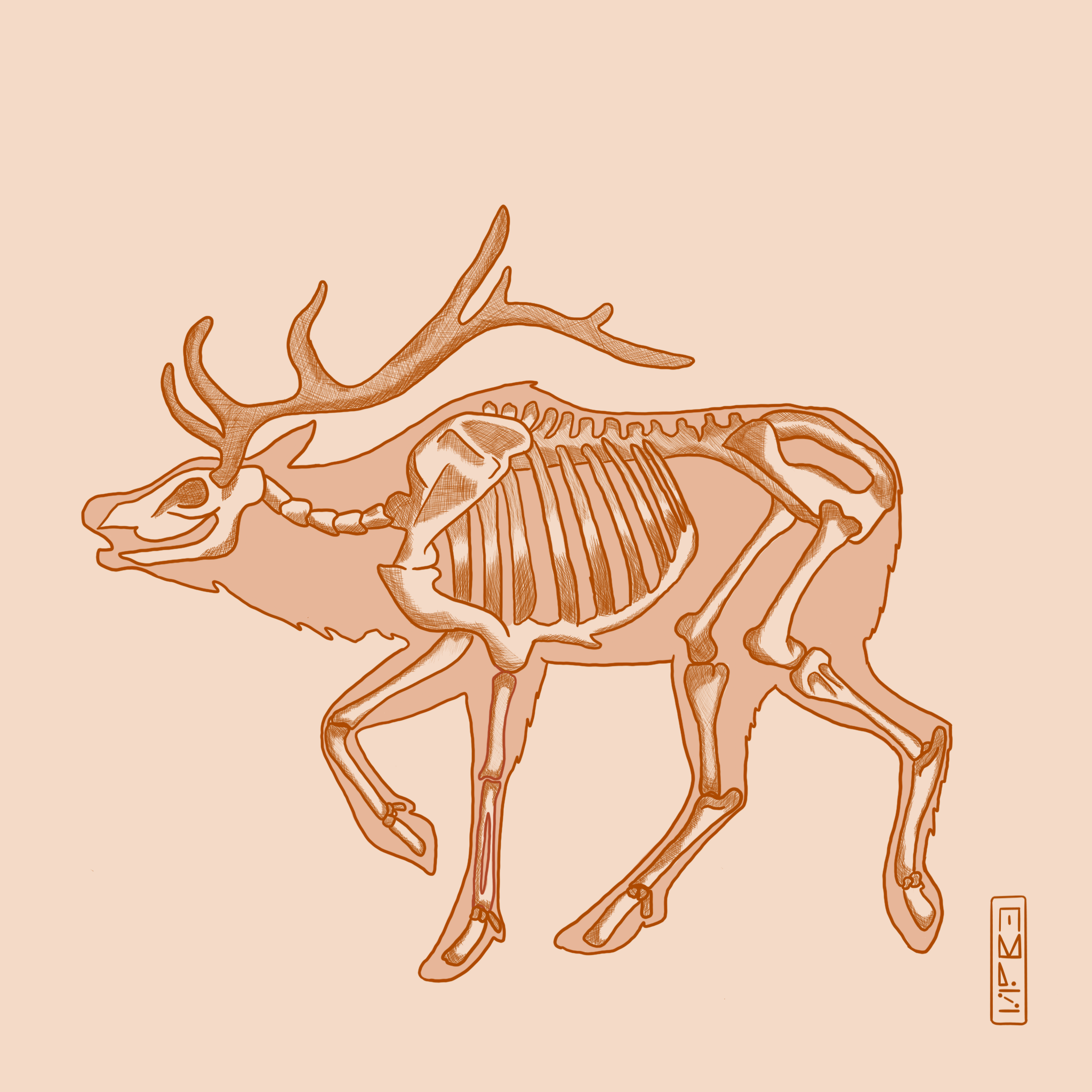 Moose.png