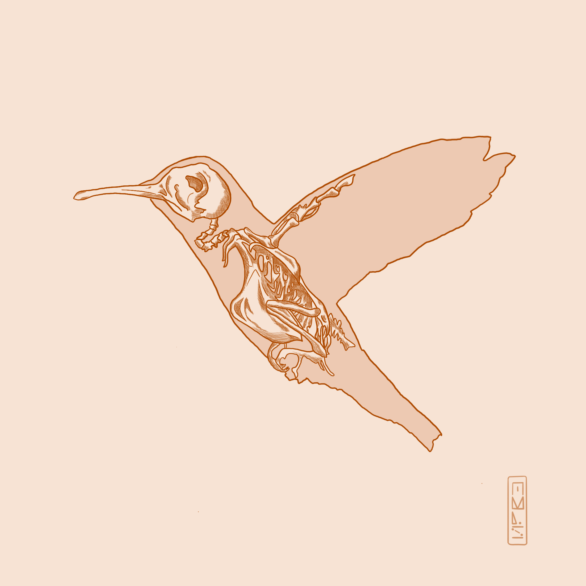 Hummingbird.png