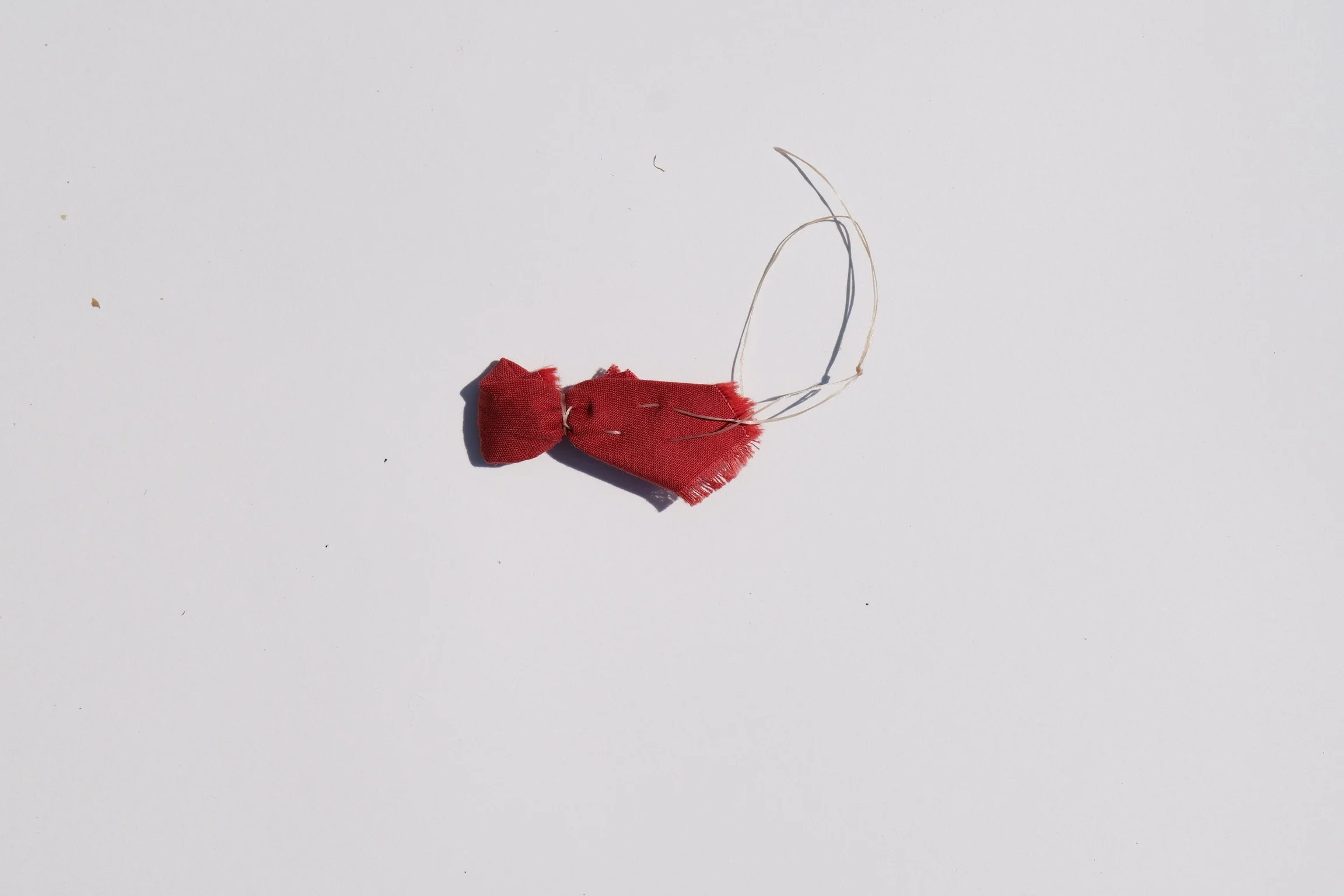 P1014763.JPG