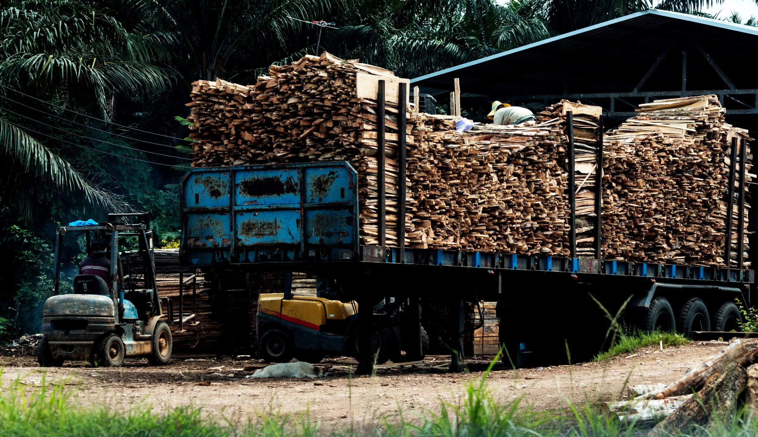 logs-stacked-trailer.jpg