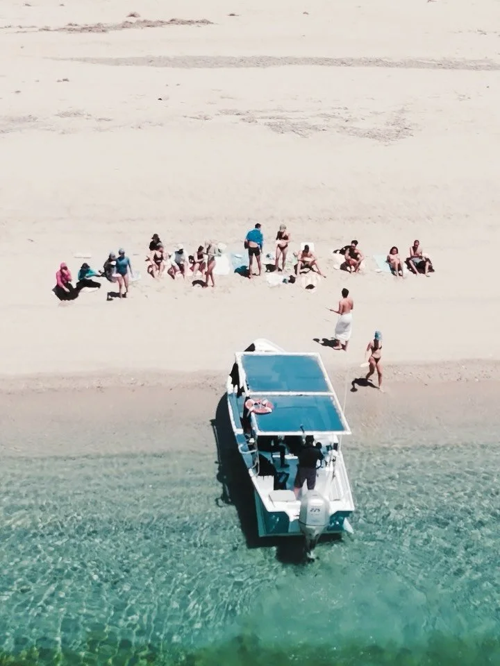 Here is what five days in Baja with LSF Expeditions looks like 🤿🐠

Day 1: Arrive and settle in, take in La Paz. 

Day 2: We are out on the turquoise waters with @bajaoceanextreme swimming with gentle giant whale sharks. Followed by a walk of the ca