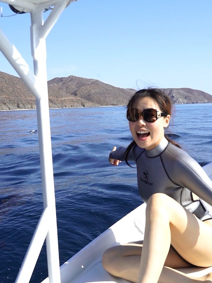 The life of a guest on an LSF expedition! 

We have just a few spots left on our November 7&ndash;11 trip to La Paz, Mexico!

DM us for a promo code when booking, our way of saying thanks for following along with us all these years. 💙