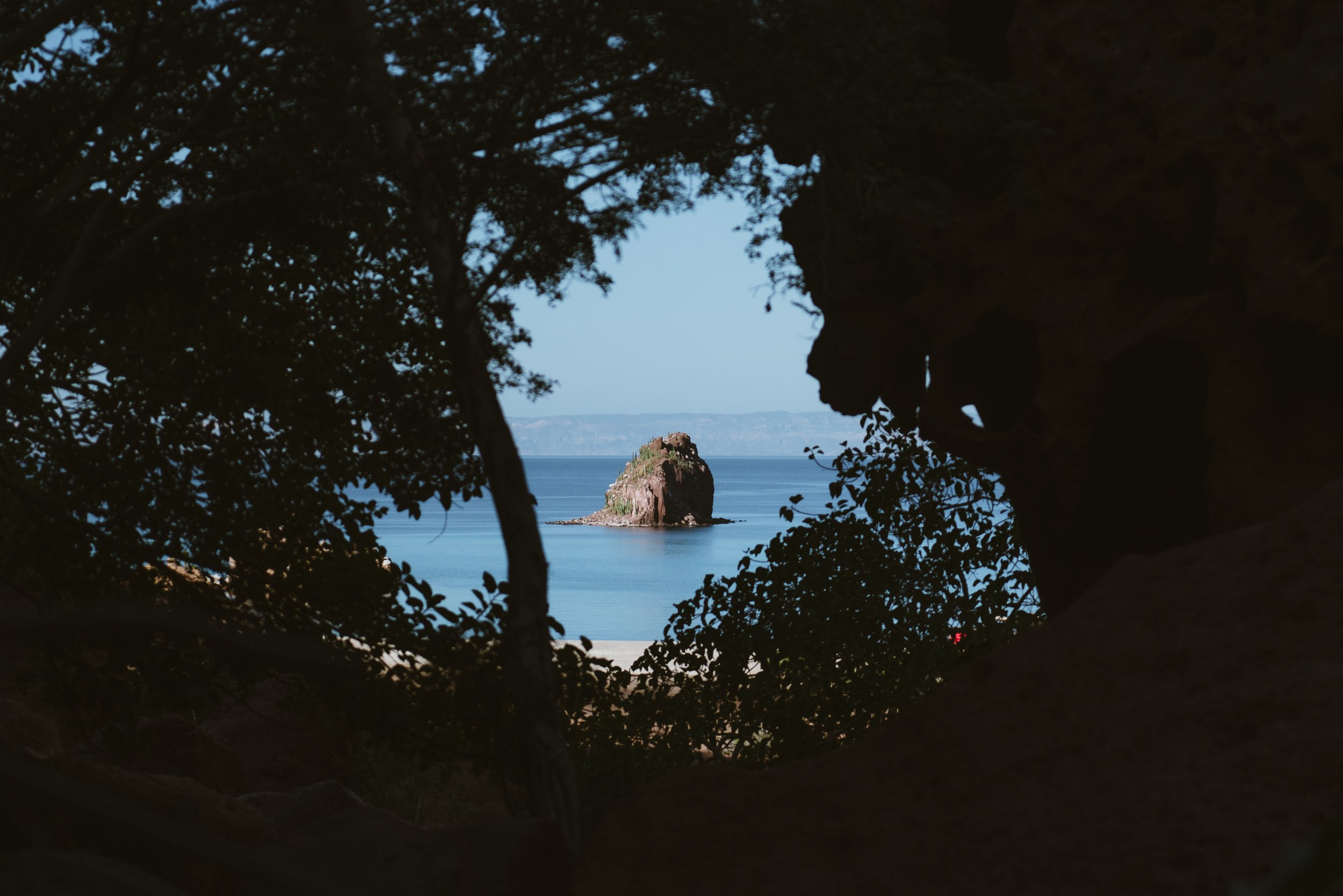 View of a small, rocky island in the ocean seen through a natural frame of dark tree branches and leaves.