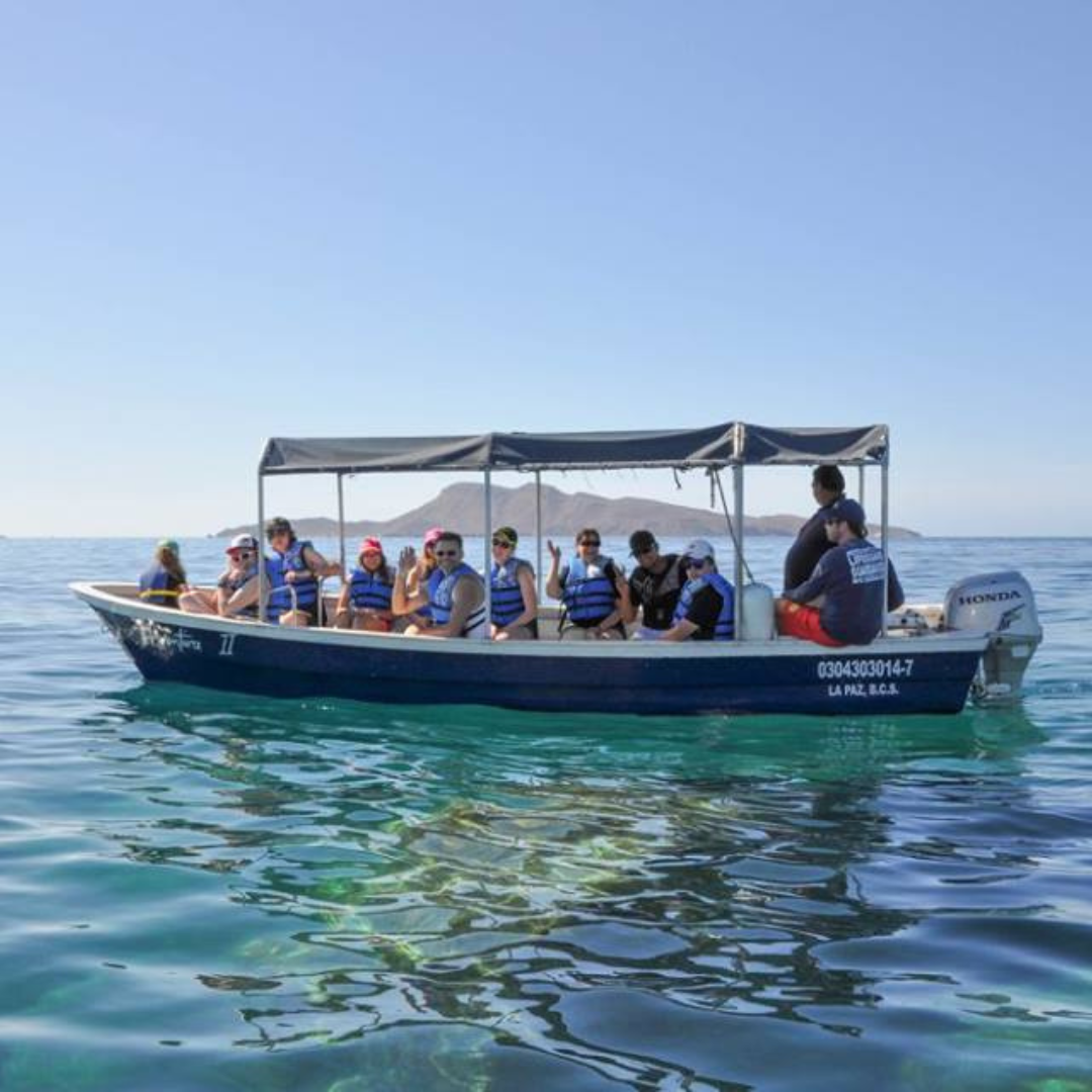 A group of people wearing life jackets on a boat, enjoying a sunny day on the water with a distant island in the background.