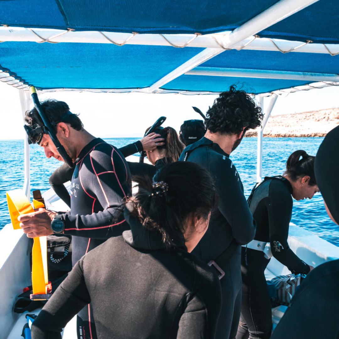 Group of people on a boat, wearing wetsuits, with diving equipment, preparing for diving in the ocean.