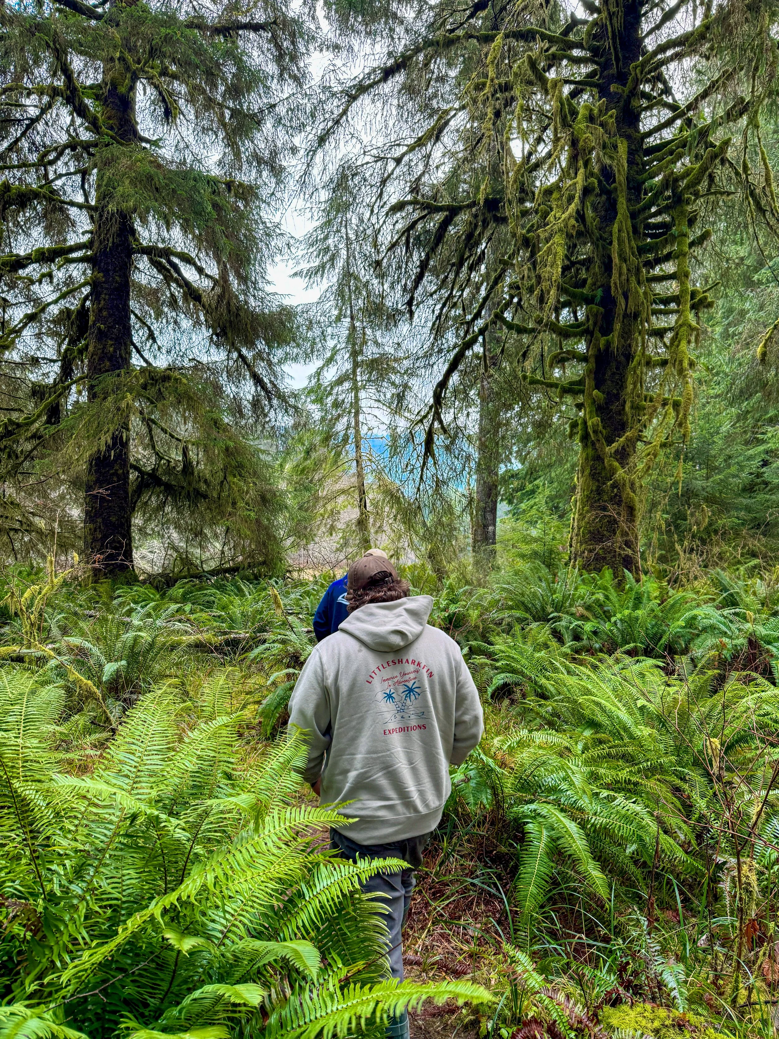 Desert Island Heavyweight Hoodie-3.jpg