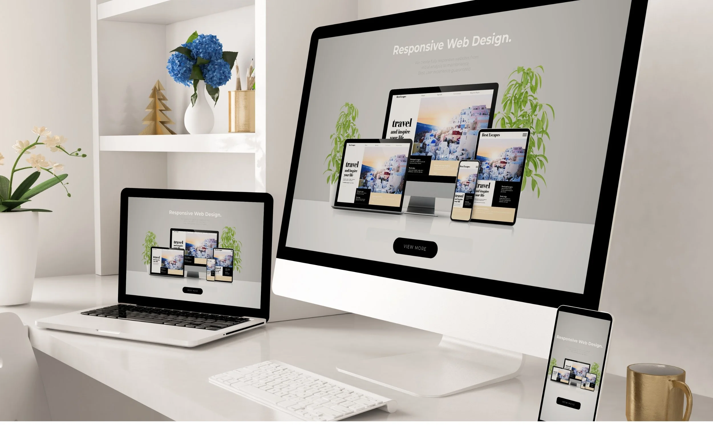 Web Design & Development
