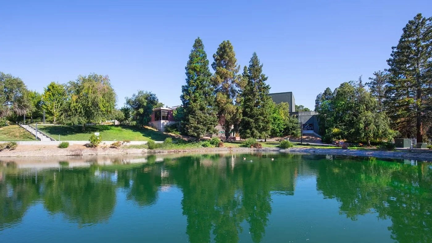 View of a lake with calm water reflecting trees and modern buildings in the background, under a clear blue sky.