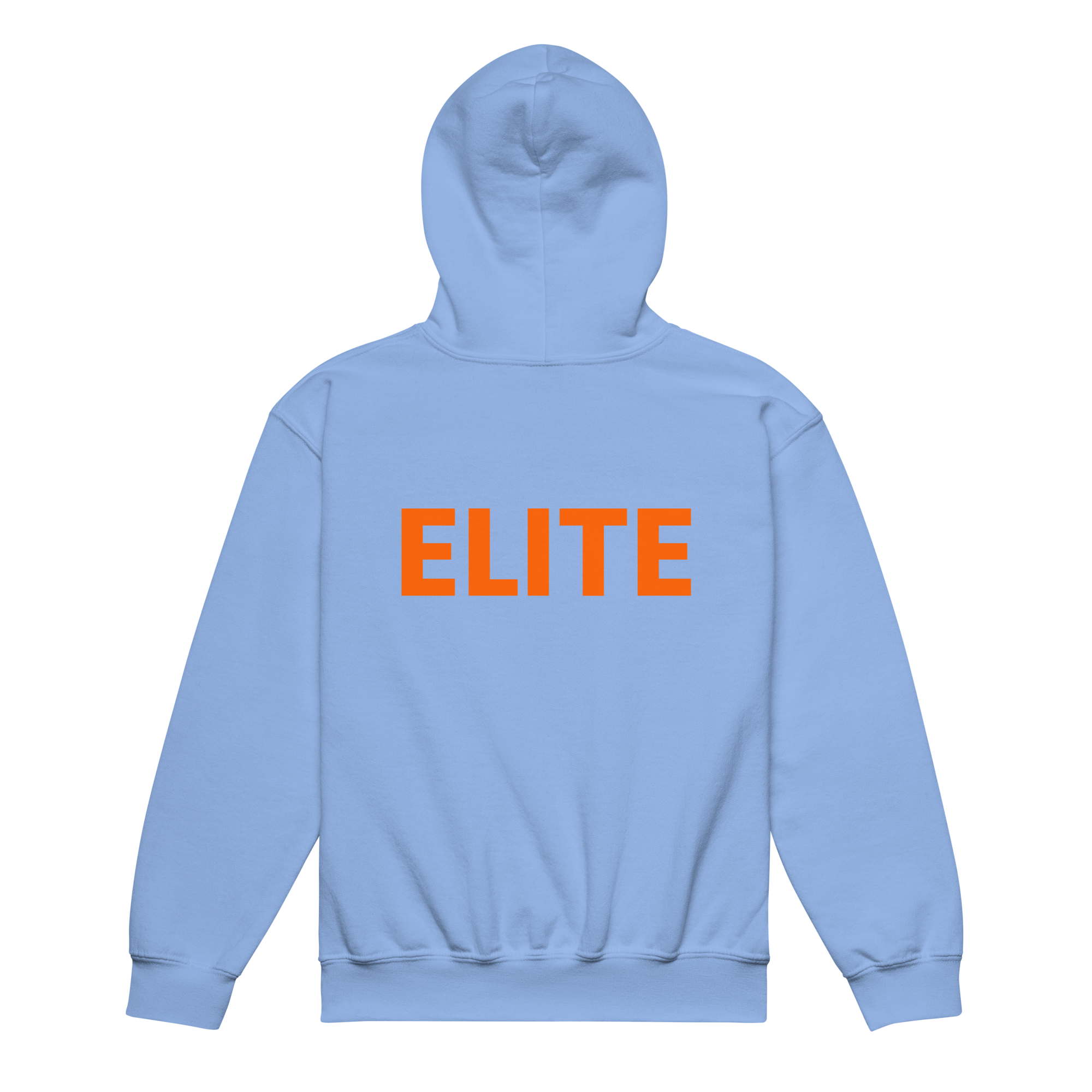 youth-heavy-blend-hoodie-carolina-blue-back-69249953dd054.png