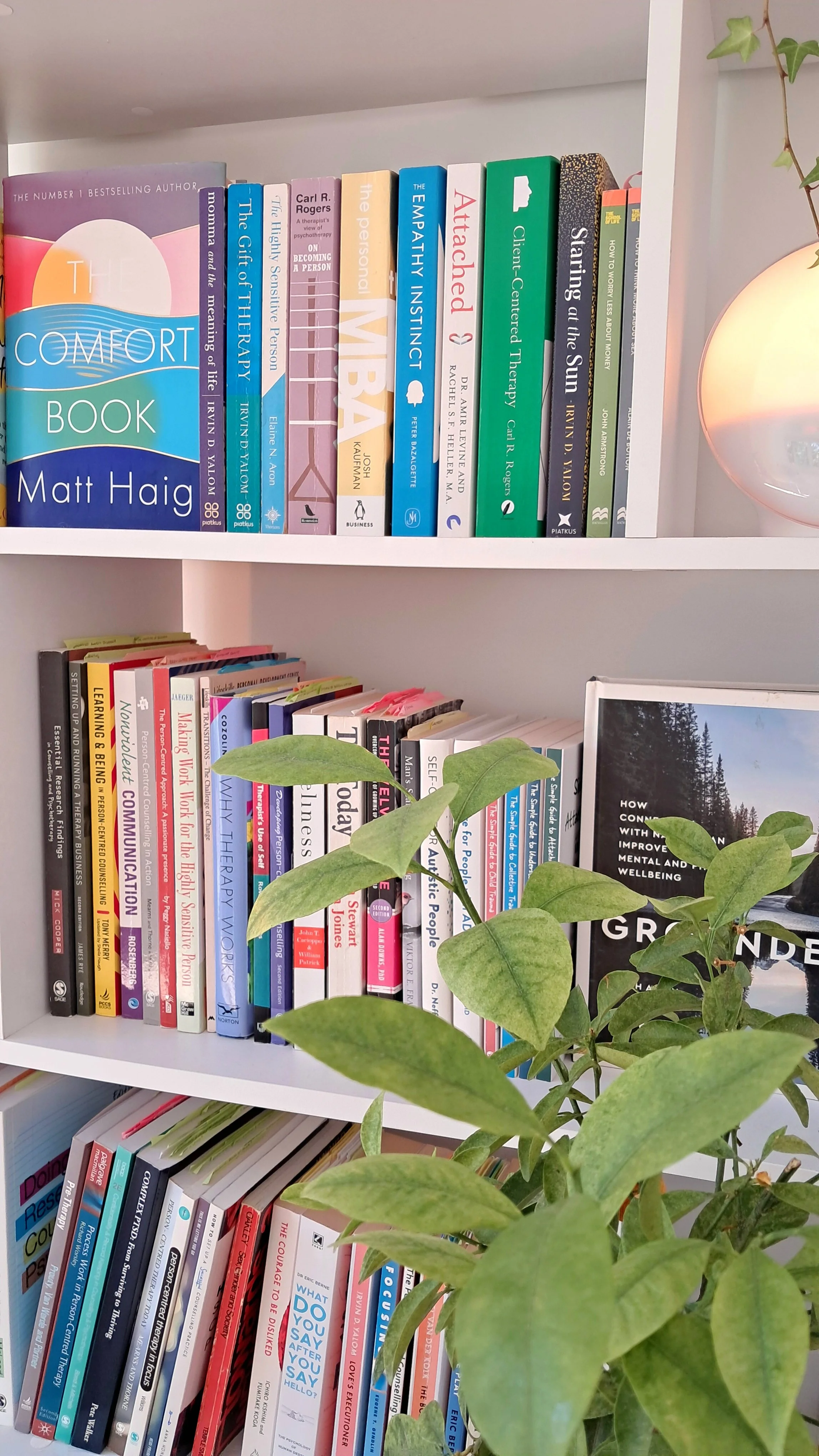 The Desktop Counselling bookshelf featuring books on therapy with a focus on trauma, LGBT+ issues, neurodiversity (including Autism and ADHD) and couples work