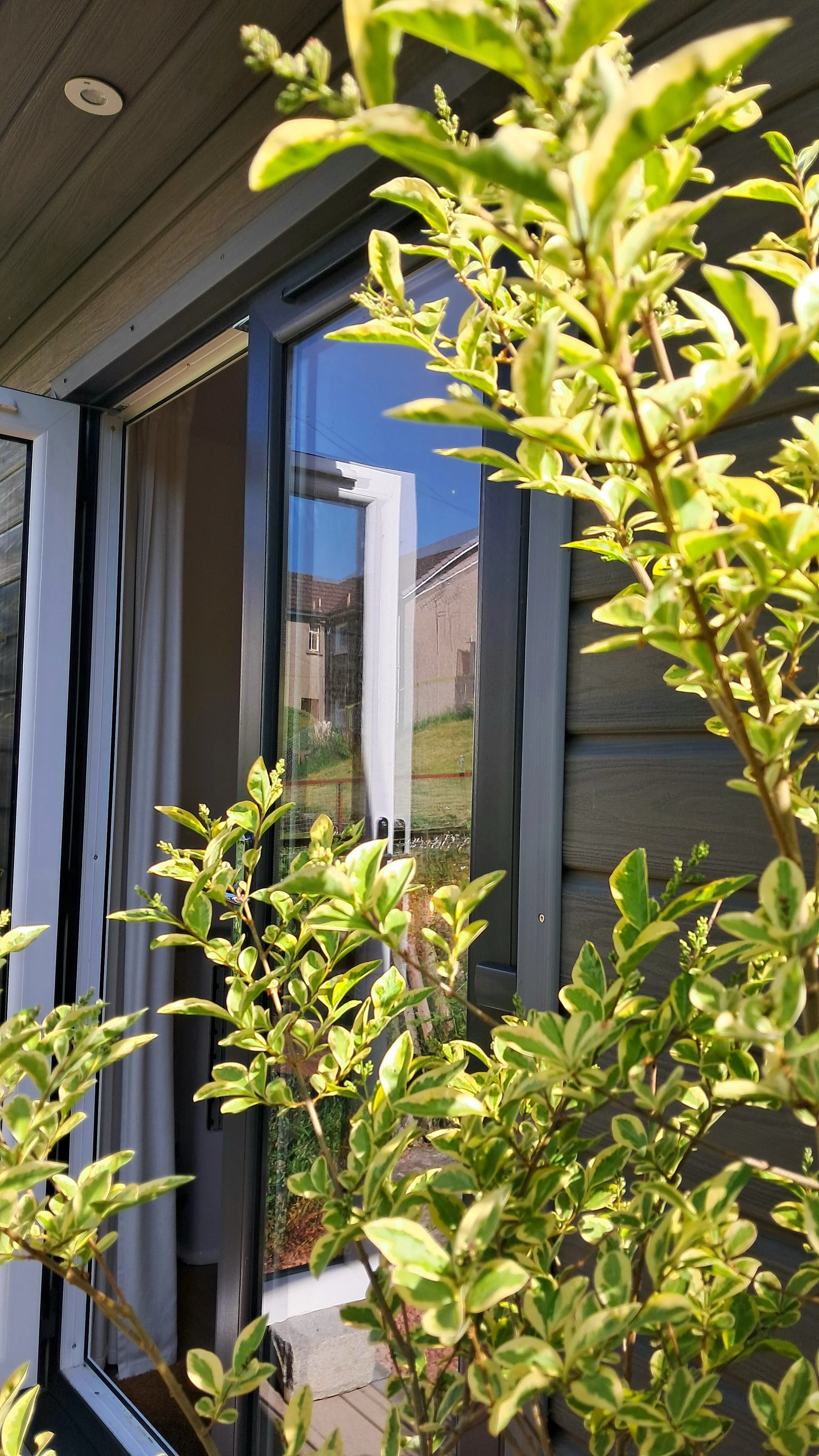 Entryway to the Desktop Counselling garden office in Paisley, Scotland (near Glasgow)