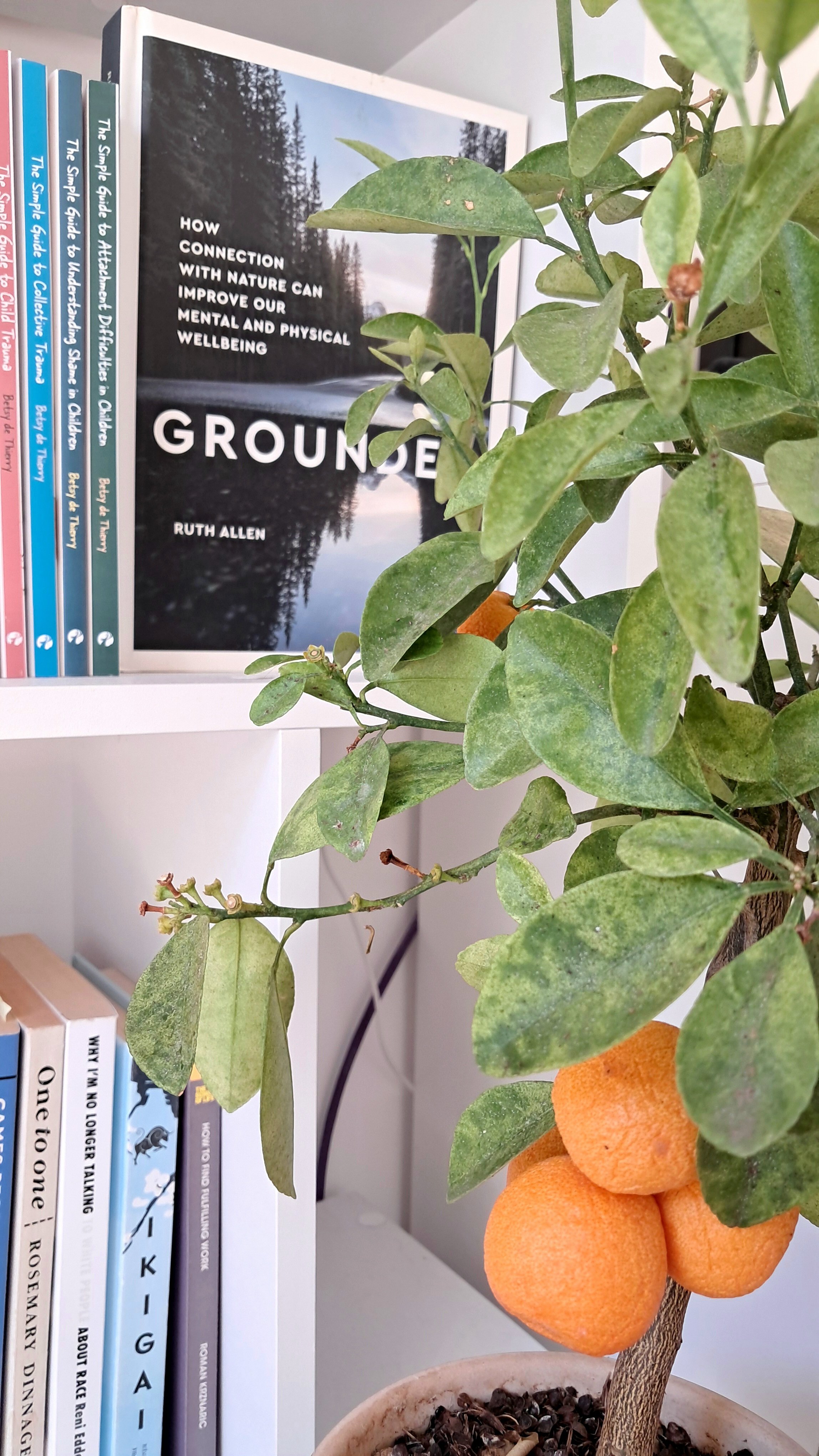 Desktop Counselling bookshelf with books on therapy, couples work, neurodiversity and LGBTQ+ issues.