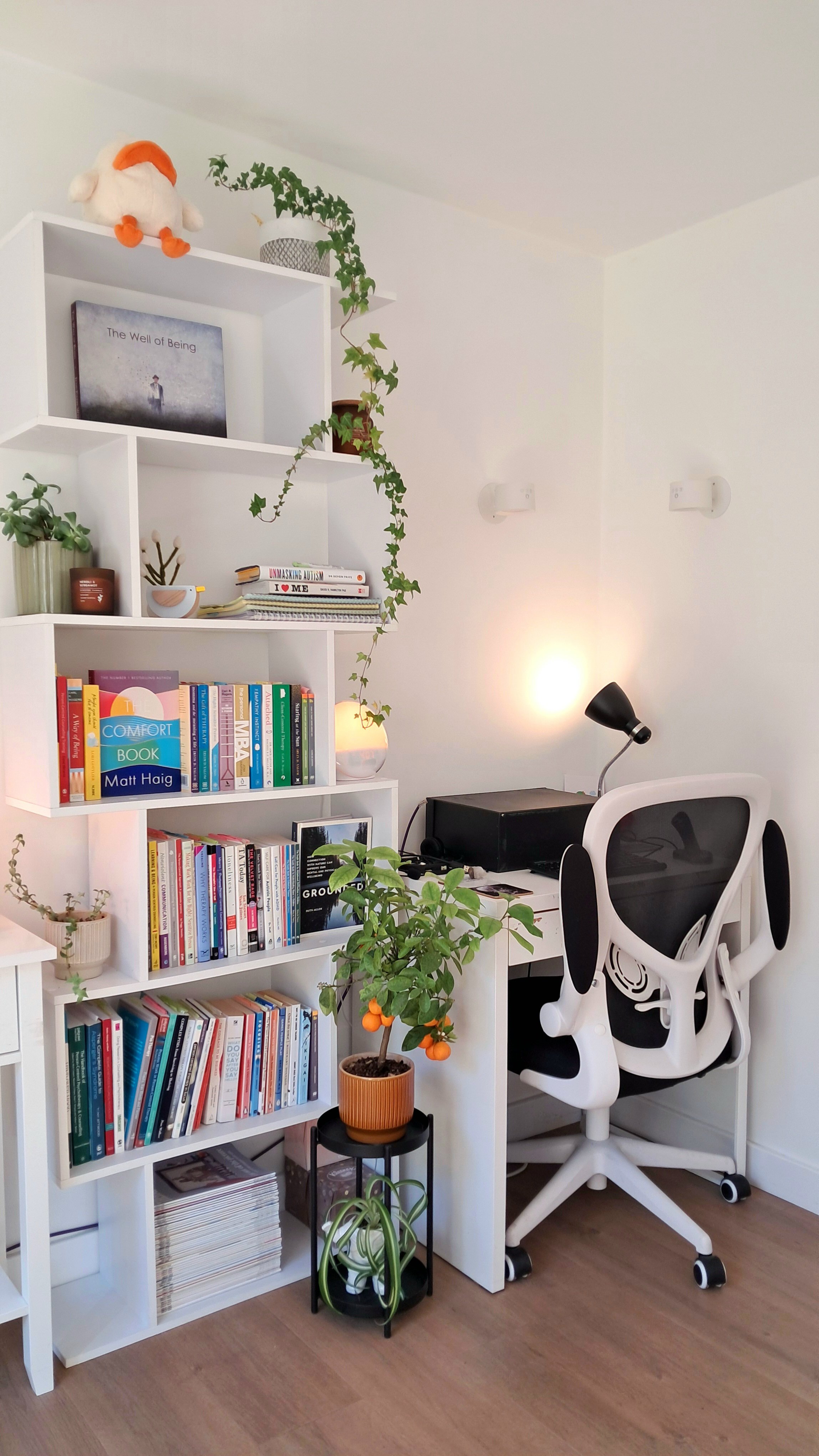 Desktop Counselling garden office online work station and counselling bookshelf