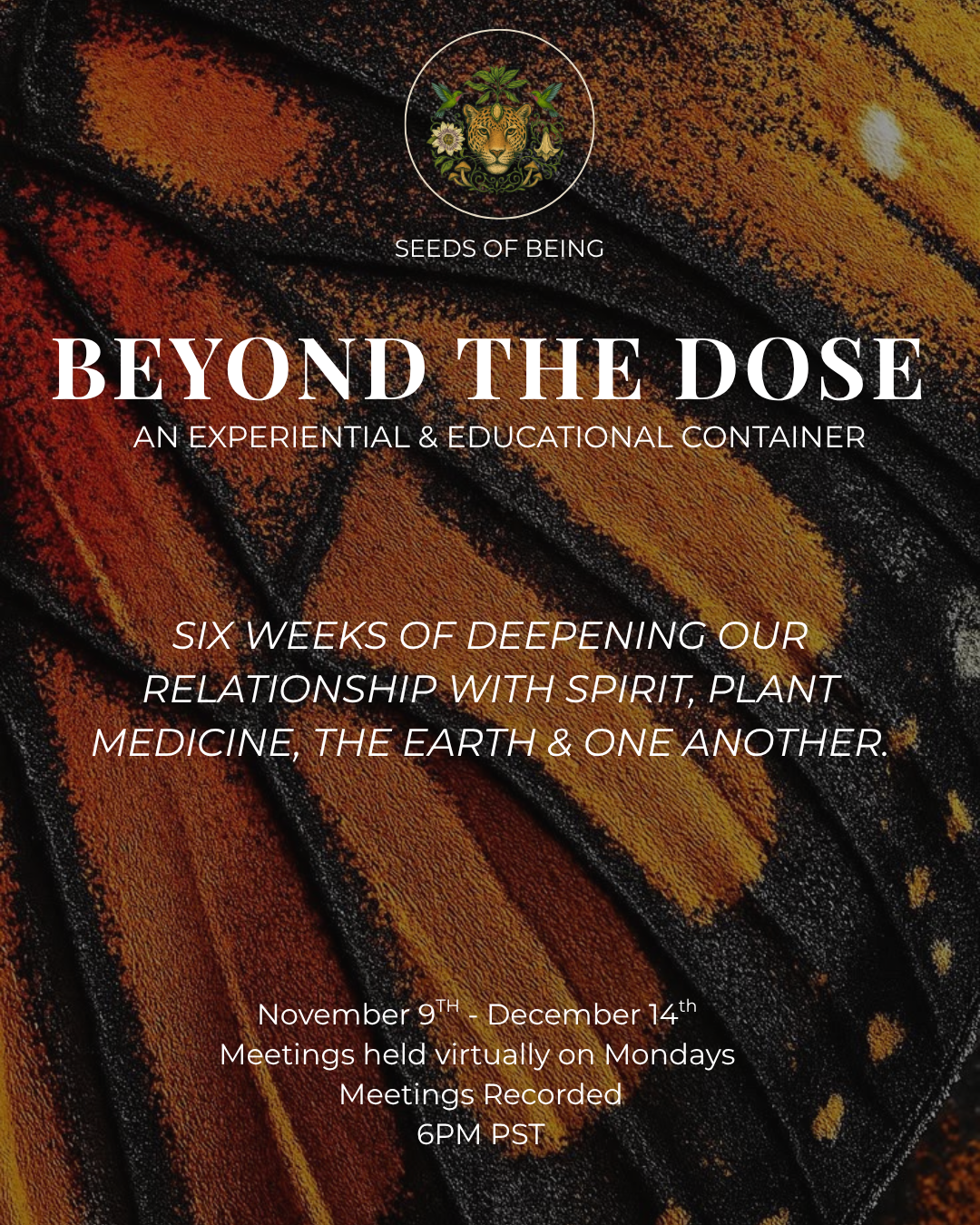 Beyond the Dose | 6-Week Group Journey