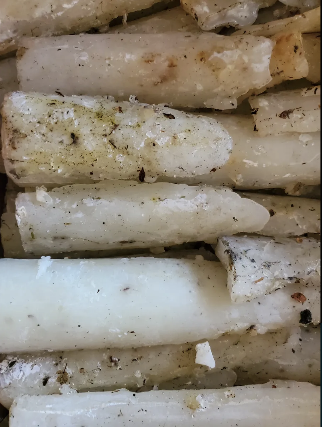 Copal Blanco | Tree Resin