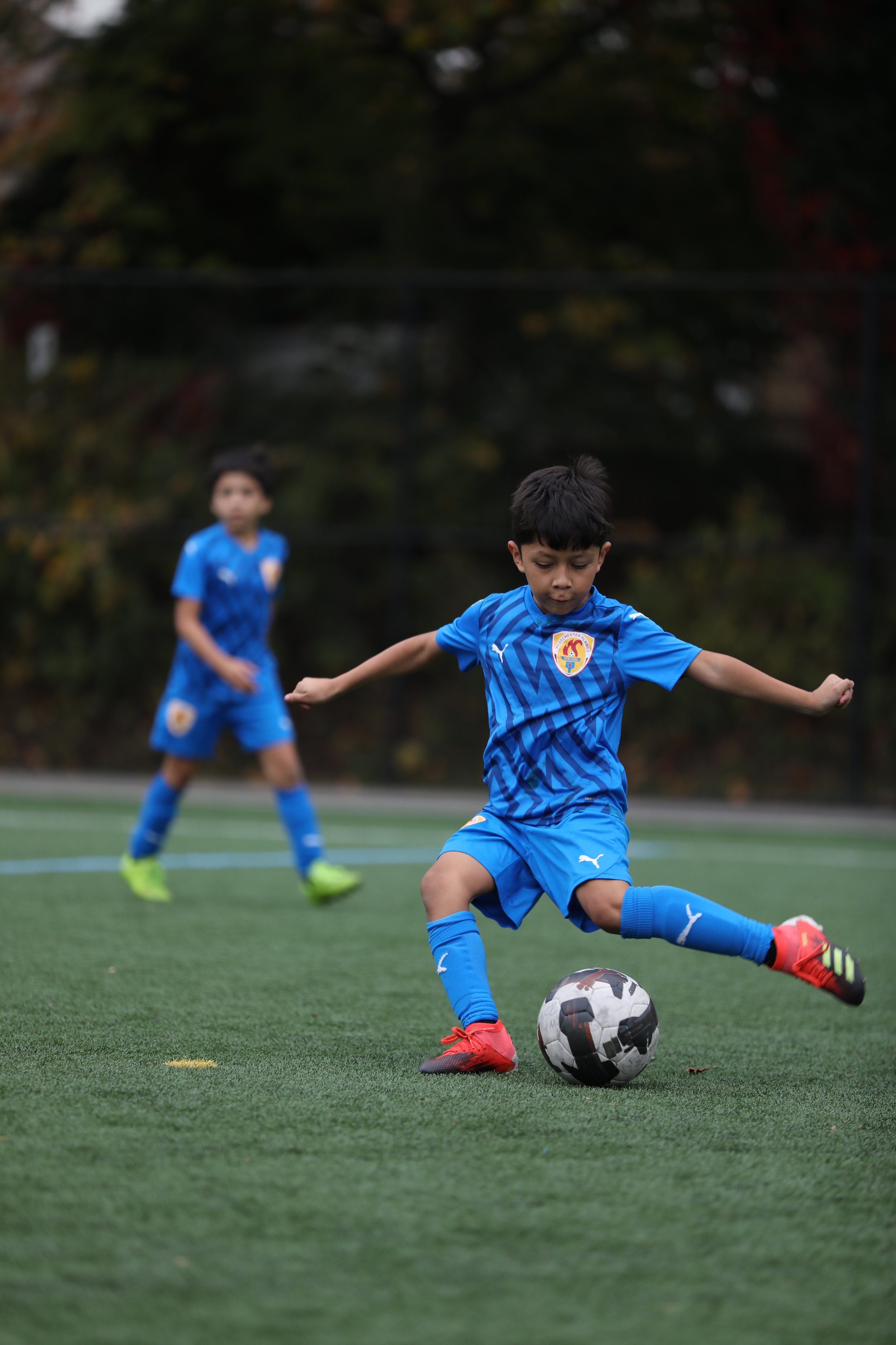 PortraitModes.com by Silvana DeFrancis 457A3907.JPG