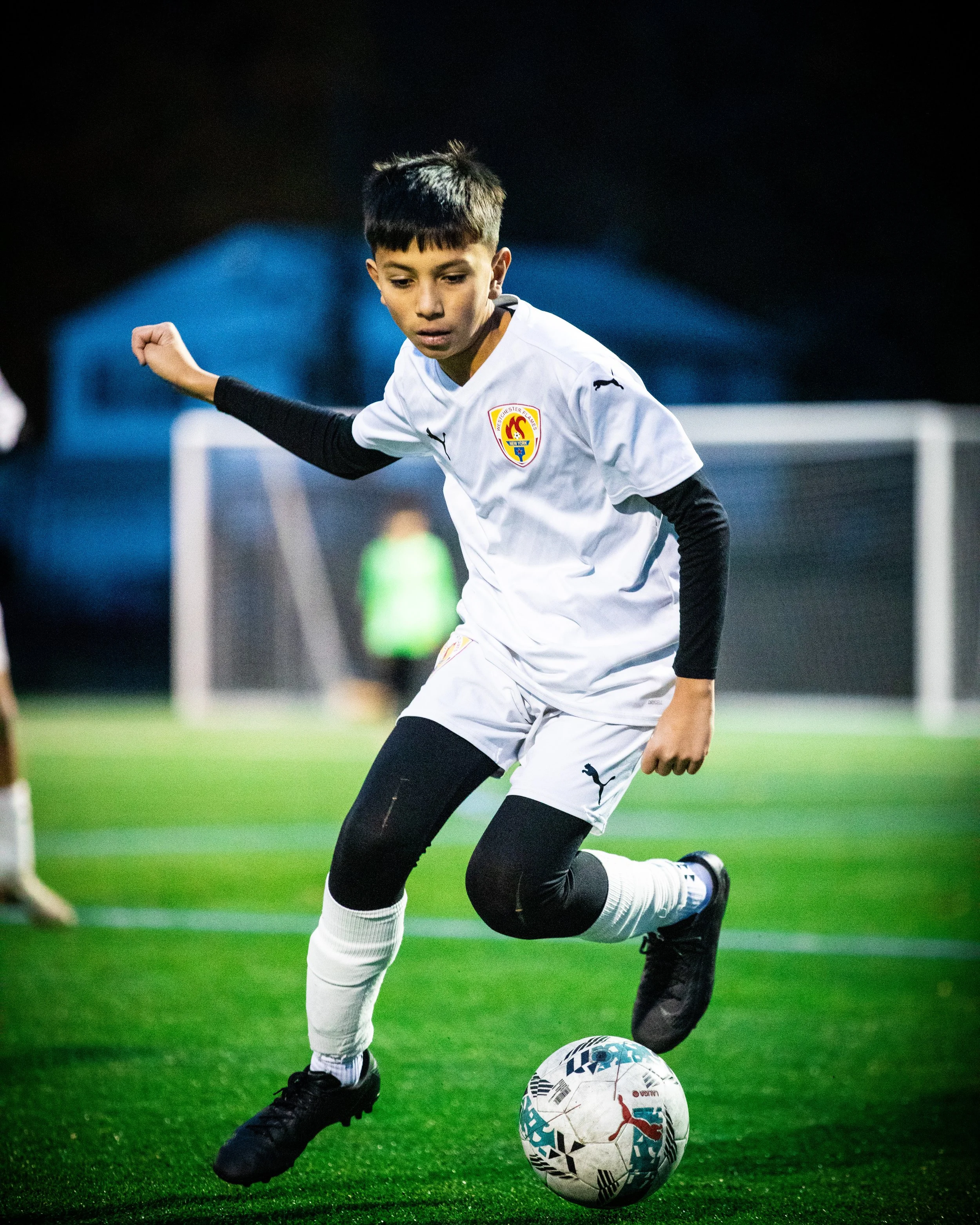 PortraitModes.com by Silvana DeFrancis 457A8184.jpg