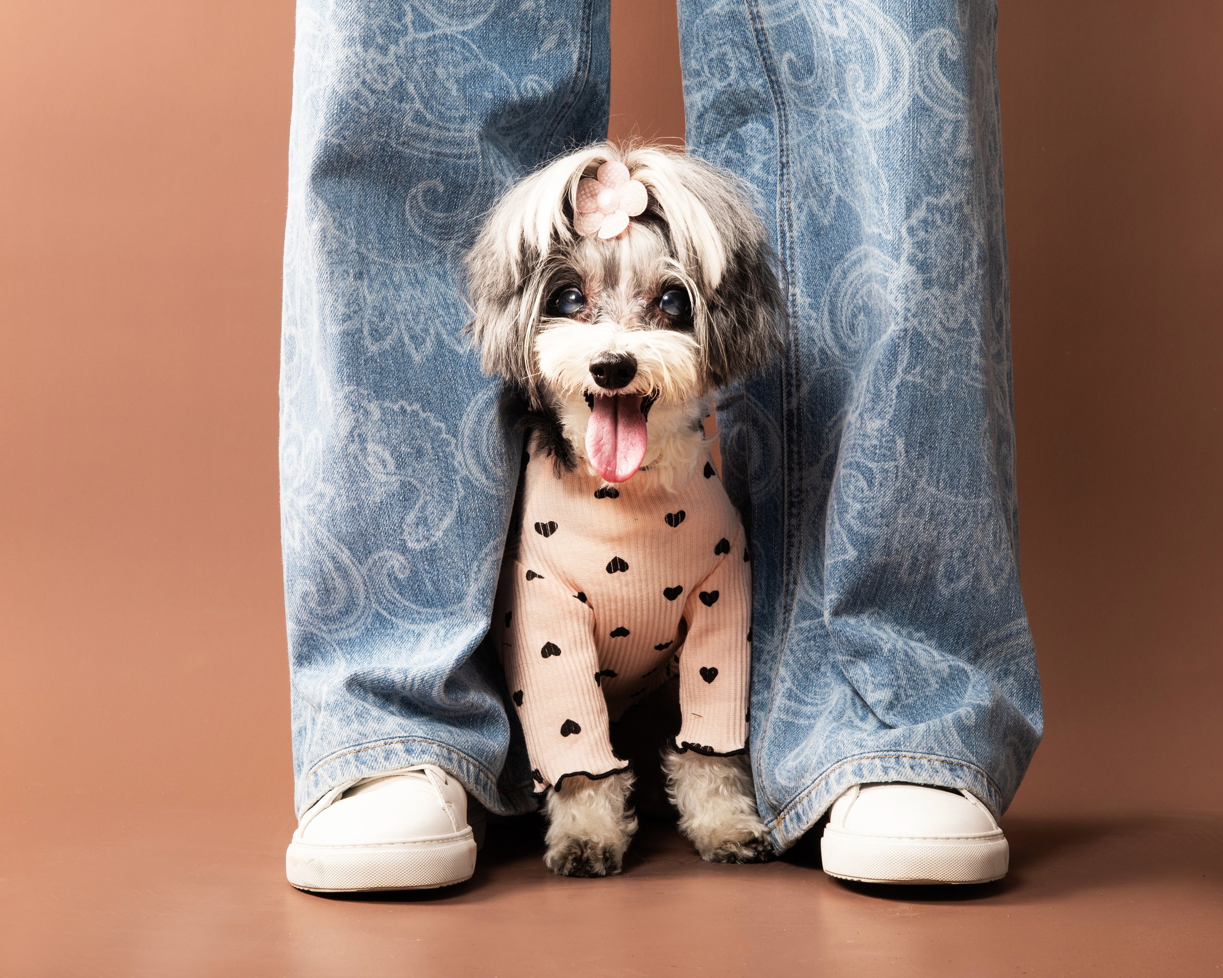 Portrait Modes Photography Pets IMG_5804 BW.jpg