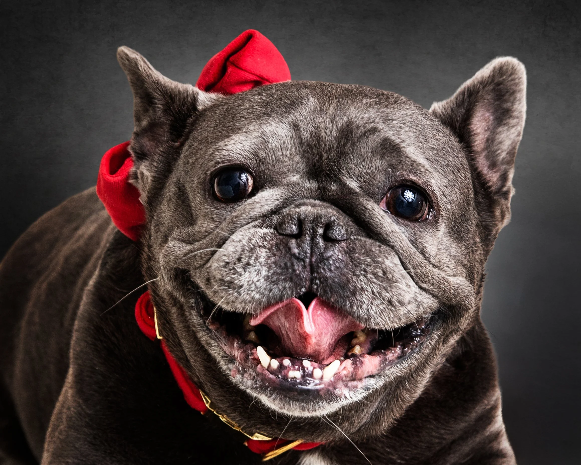 Portrait Modes by Silvana DeFrancis -1_(4) copy.jpg