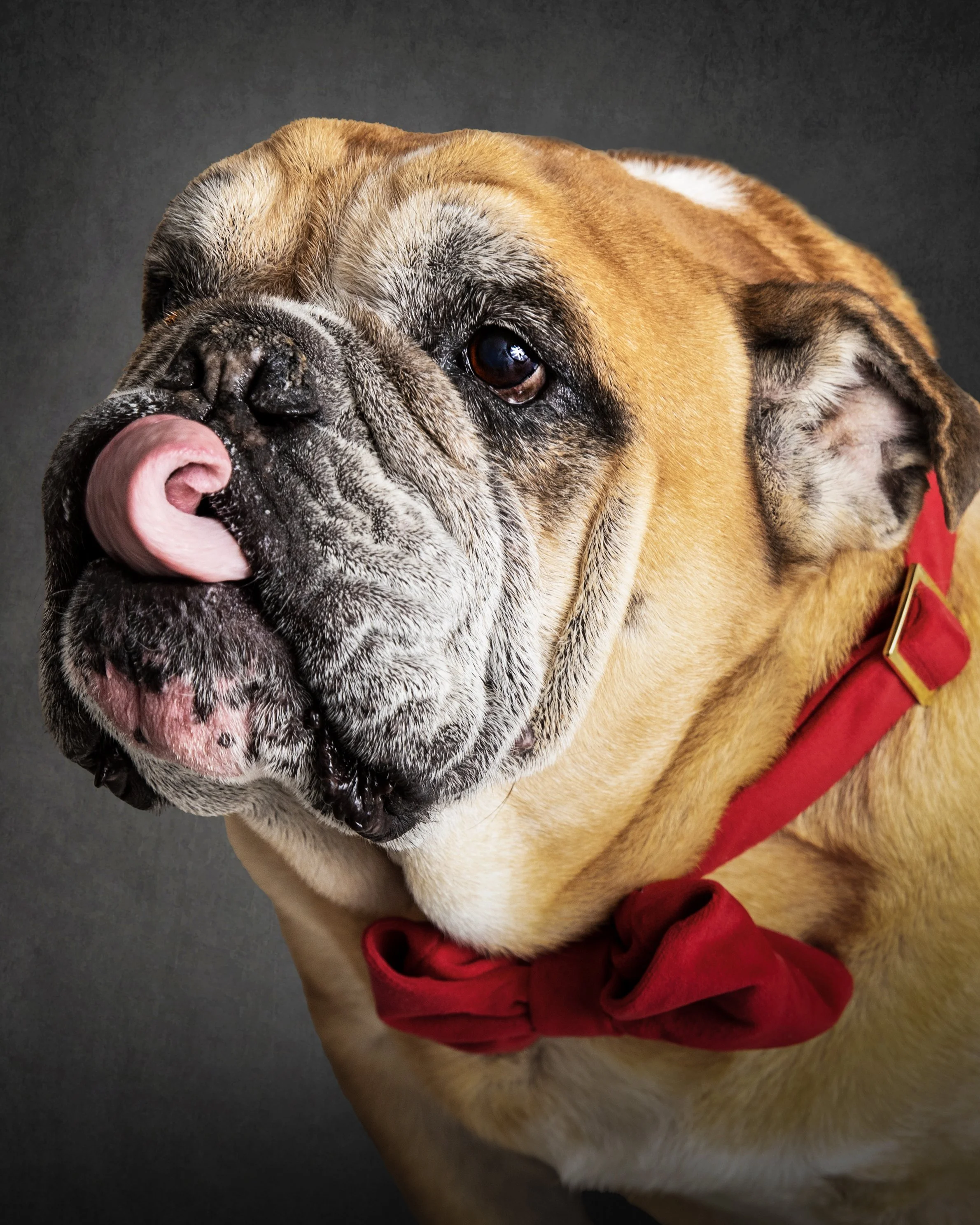 Portrait Modes Photography Jugsie2_(2).jpg