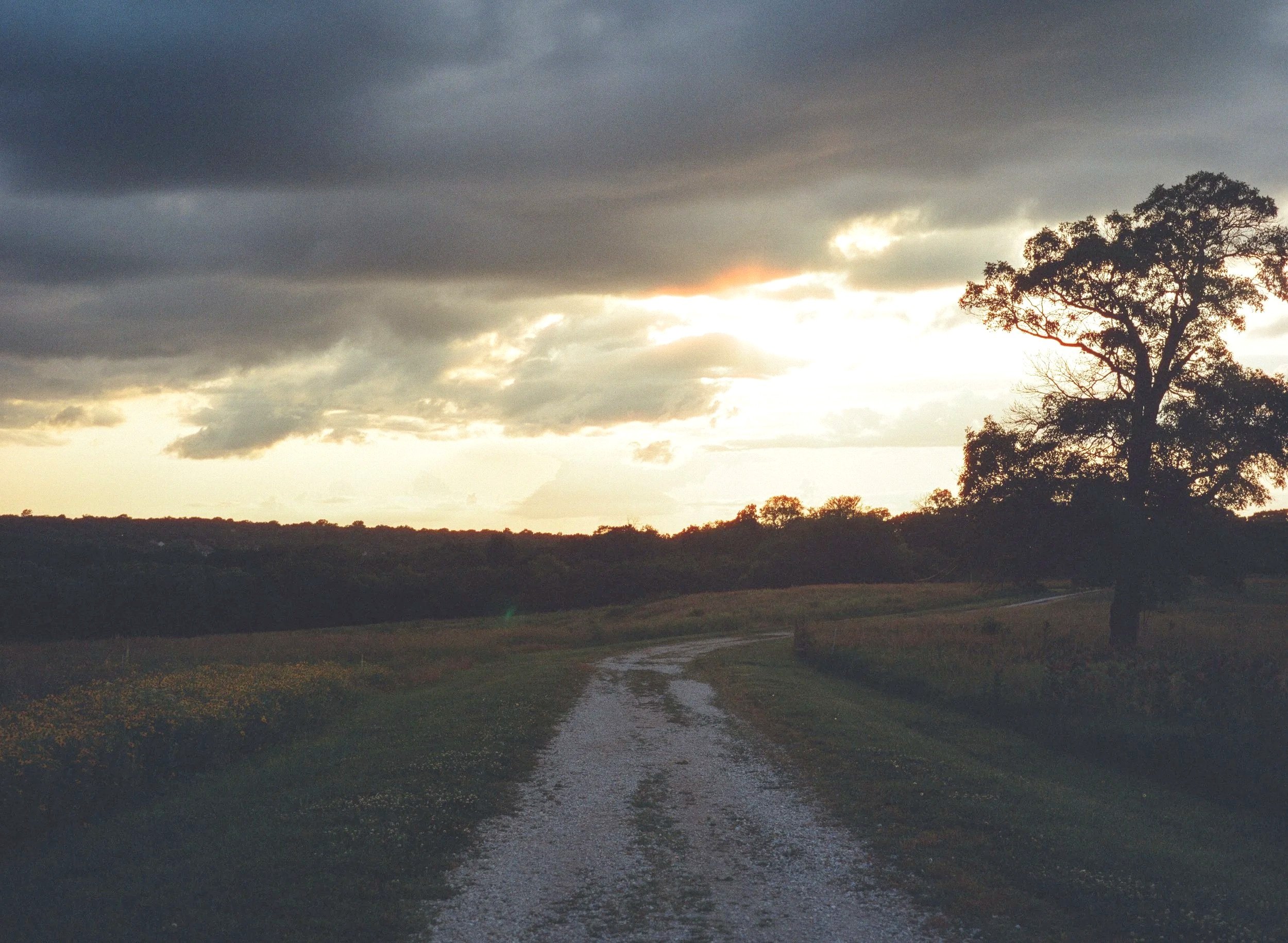 The Truth About Online Therapy for Eating Disorders: Does It Work?