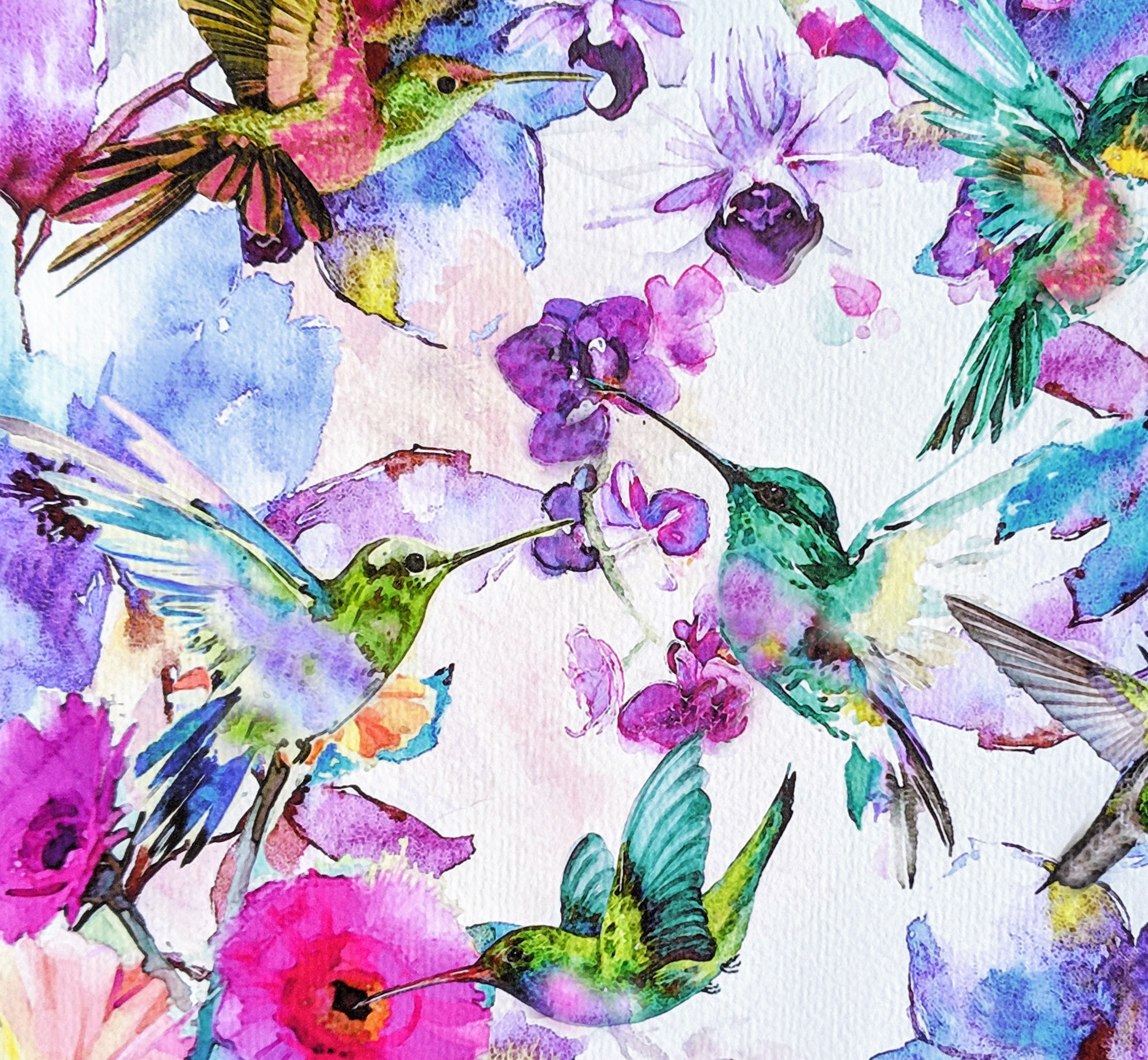 Hummingbirds copy.png