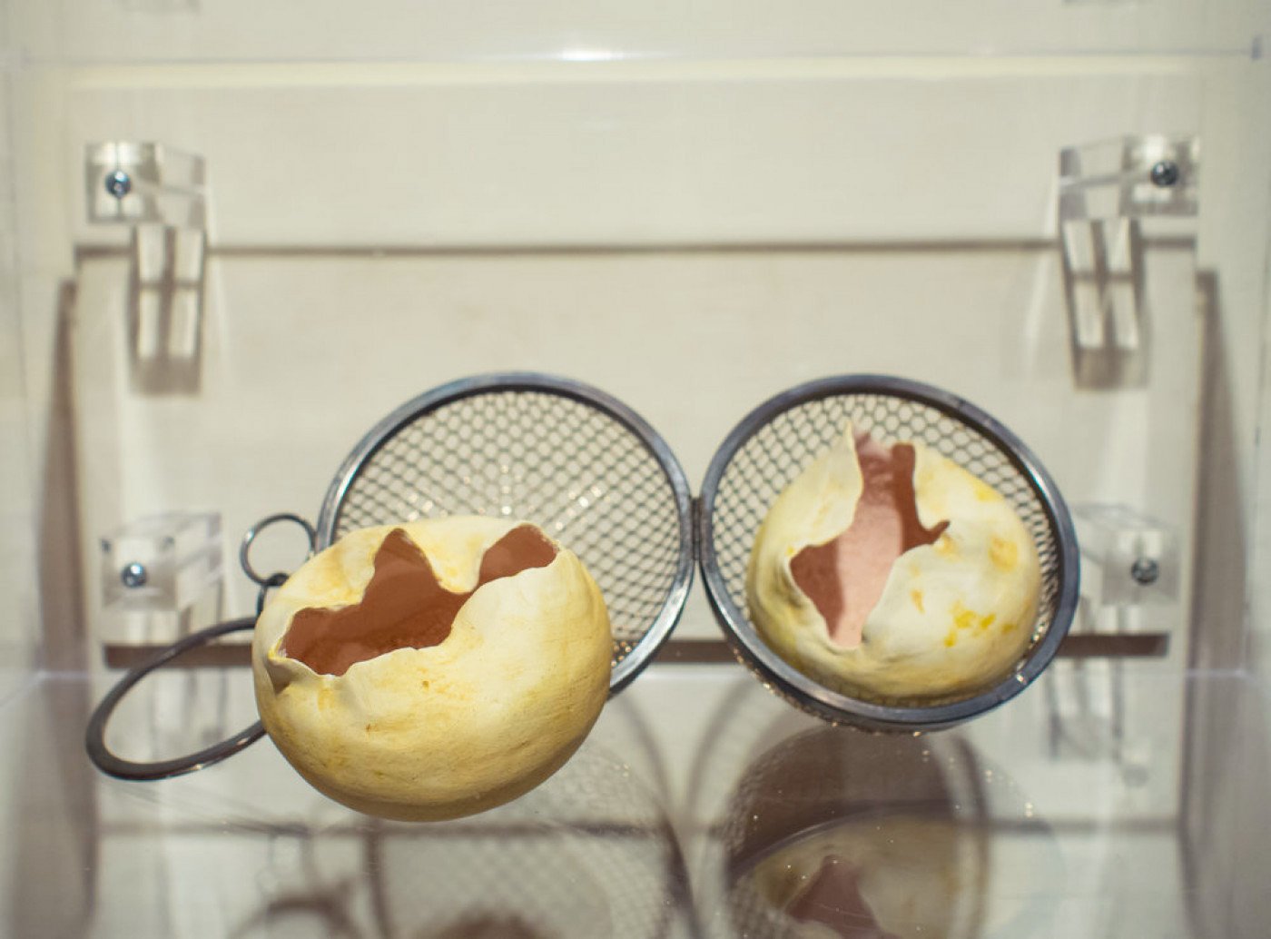 To Have and Not To Own (2017), by Anina Major, 6" x 16"