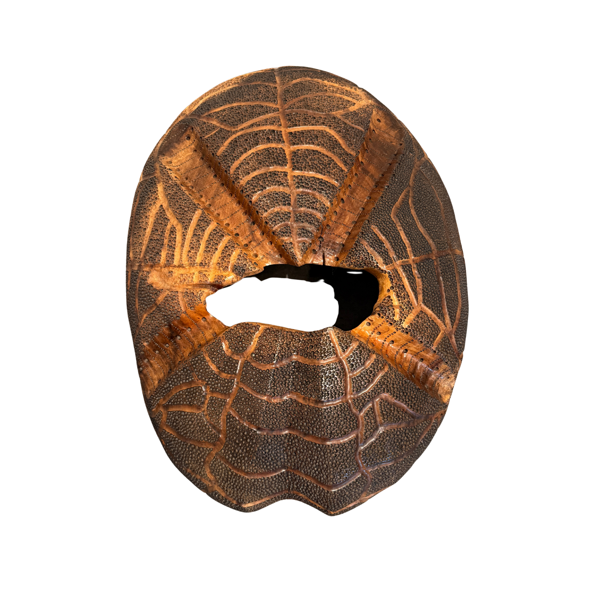 Sea Egg (2013) by Morgan McKinney, 35" x 26" (Top View)