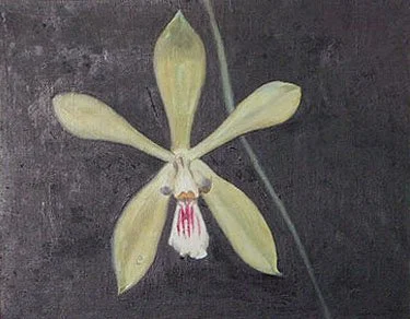 Single Yellow Orchid (1992) by Alton Lowe, 9" x 12"