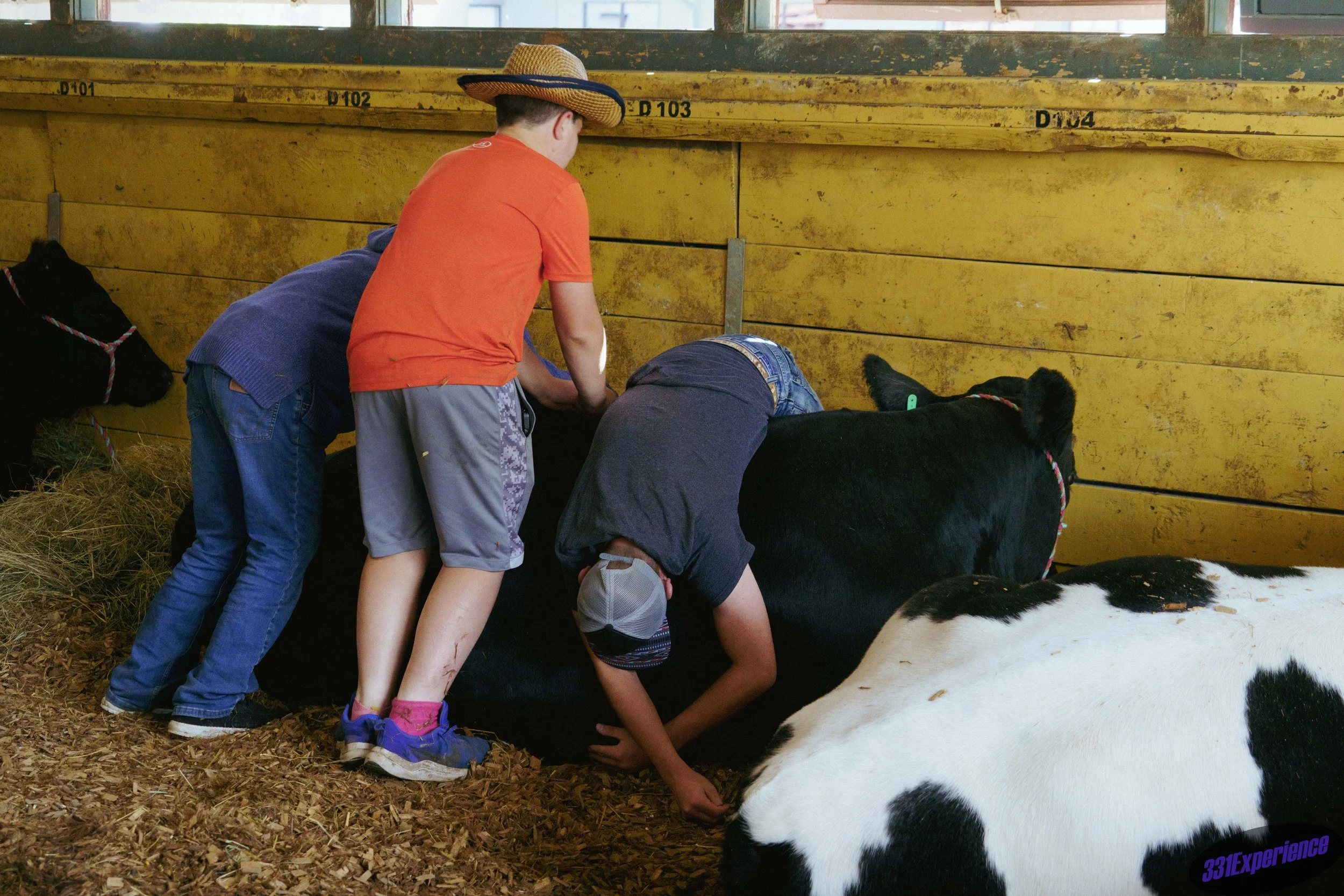 MinnesotaStateFair.jpg