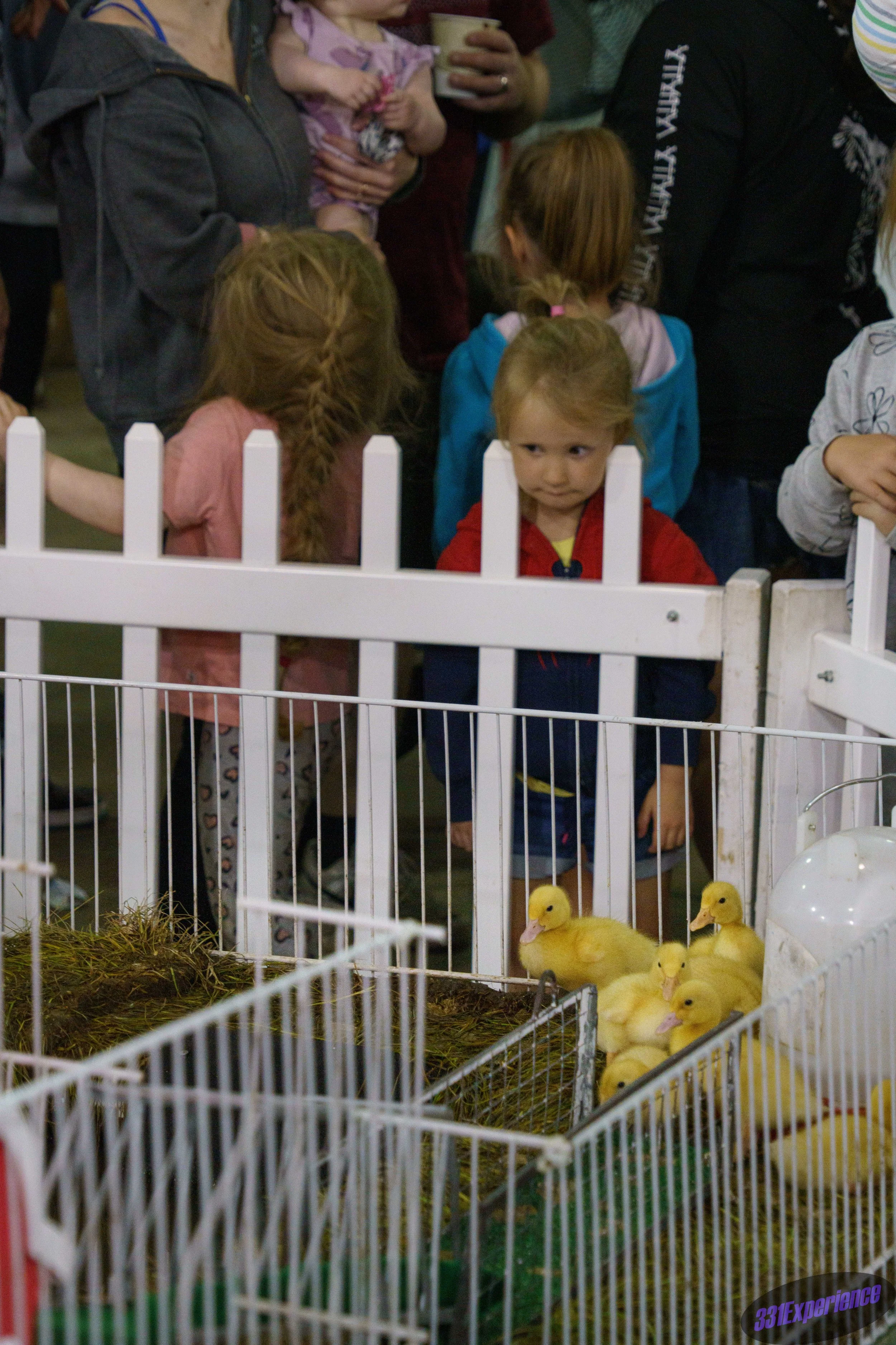 MinnesotaStateFair-21.jpg