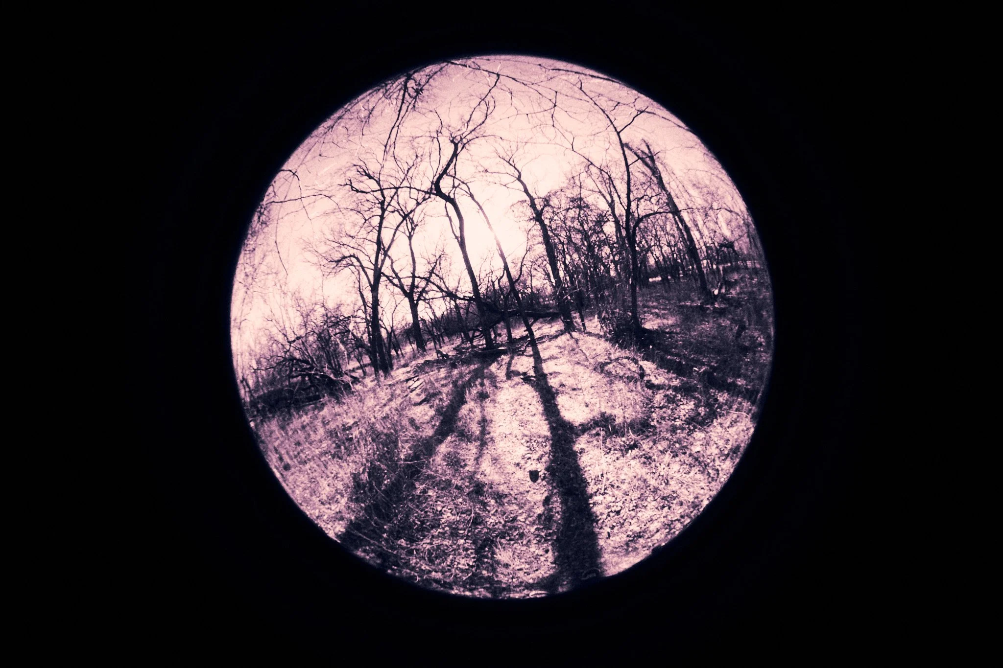 kcfisheye 16.jpg