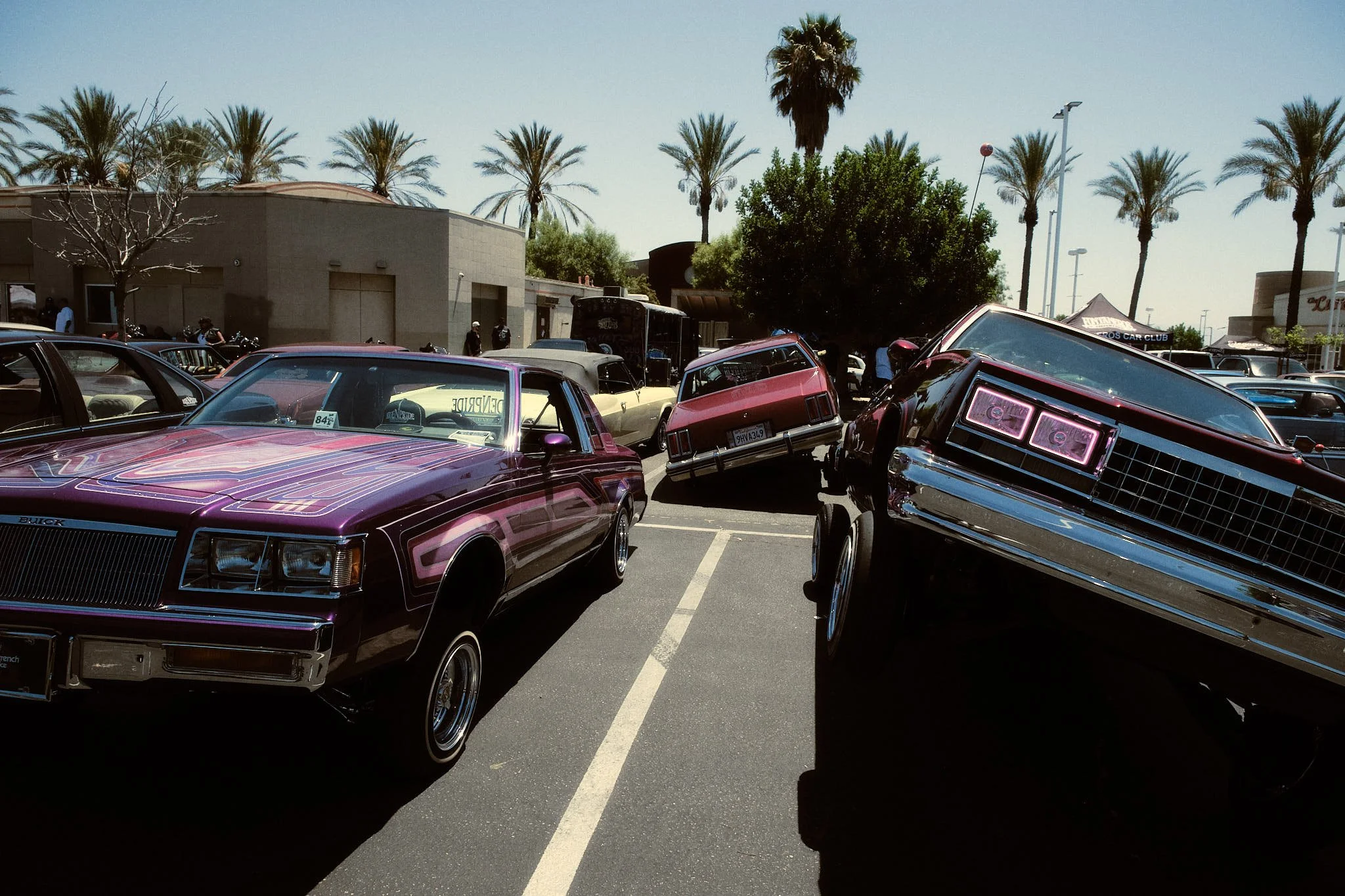 cali 67.jpg