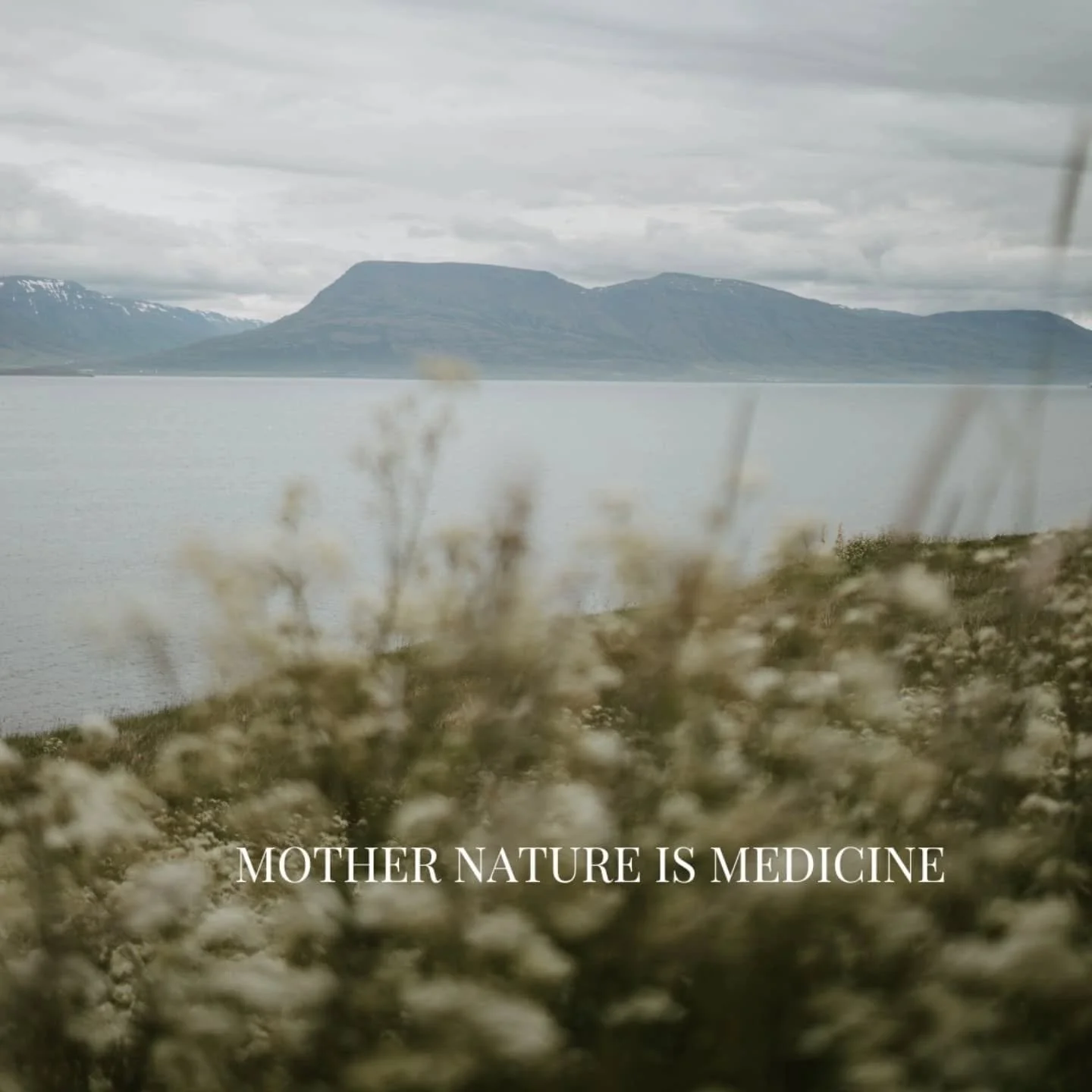 We walk the path of the wise ones, weaving the energies of Mother Nature into our ritual practices. We seek her healing wisdom through the cycles of the Earth, and by asking her guidance, we begin to feel the pulse of ancient roots beneath our feet. 