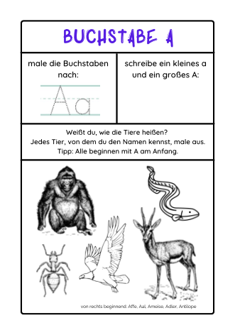 Screenshot 2025-10-12 at 2.44.24 PM.png