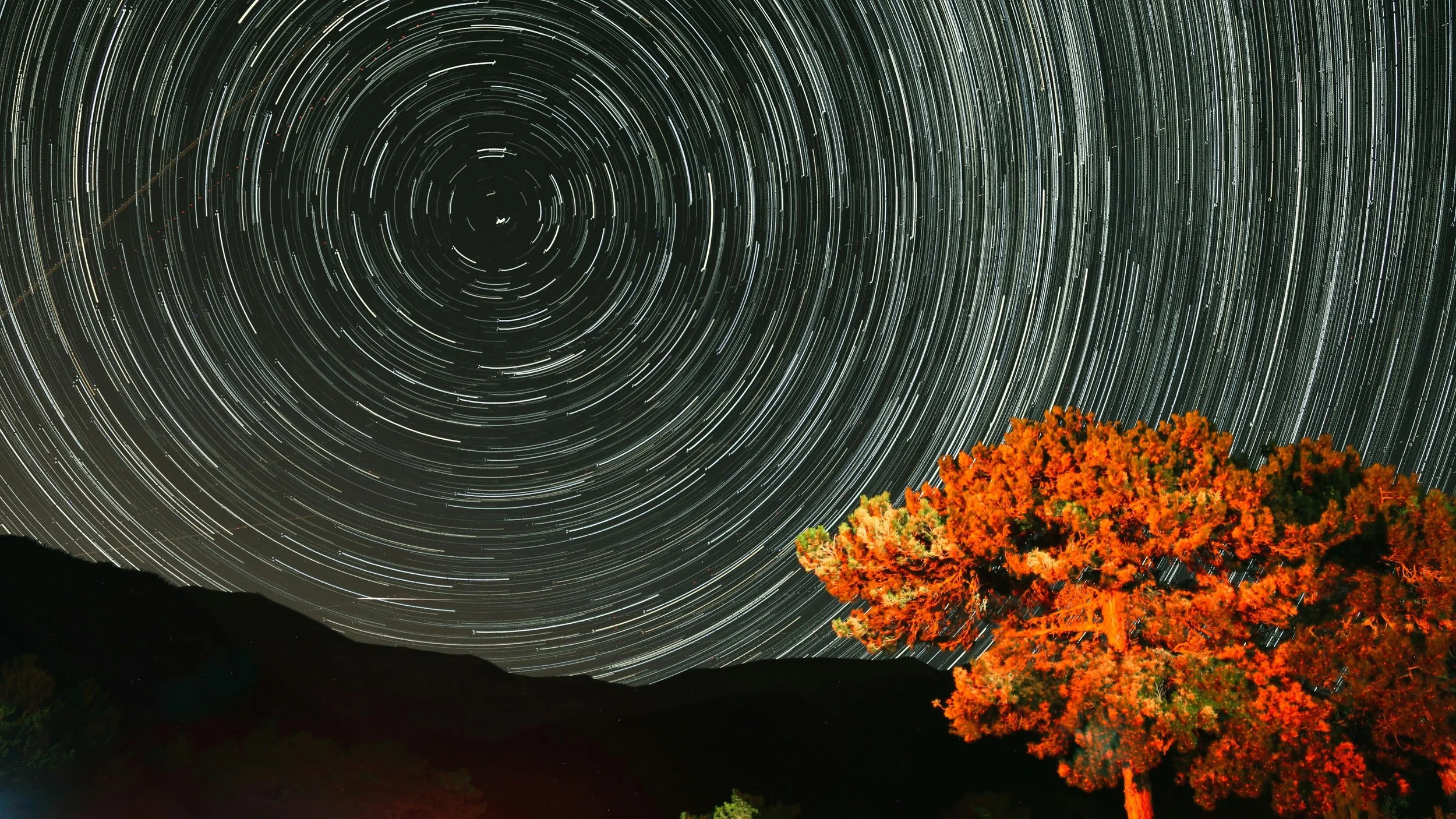 Long exposure photograph of circular star trails swirling above a brightly lit tree against a dark night sky, a visual reminder that time passes regardless of the decisions made beneath it.