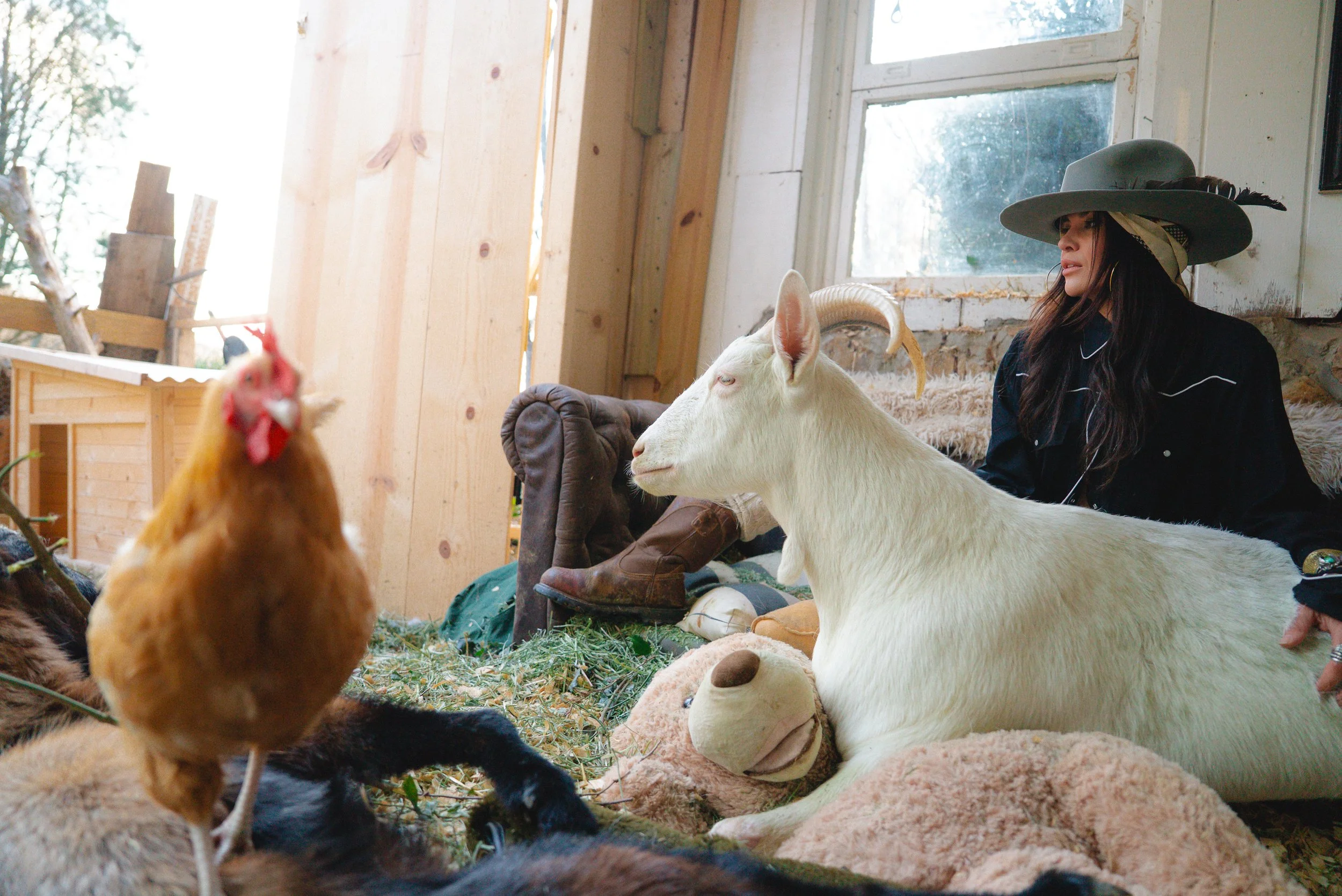 Where the Wild things keep me