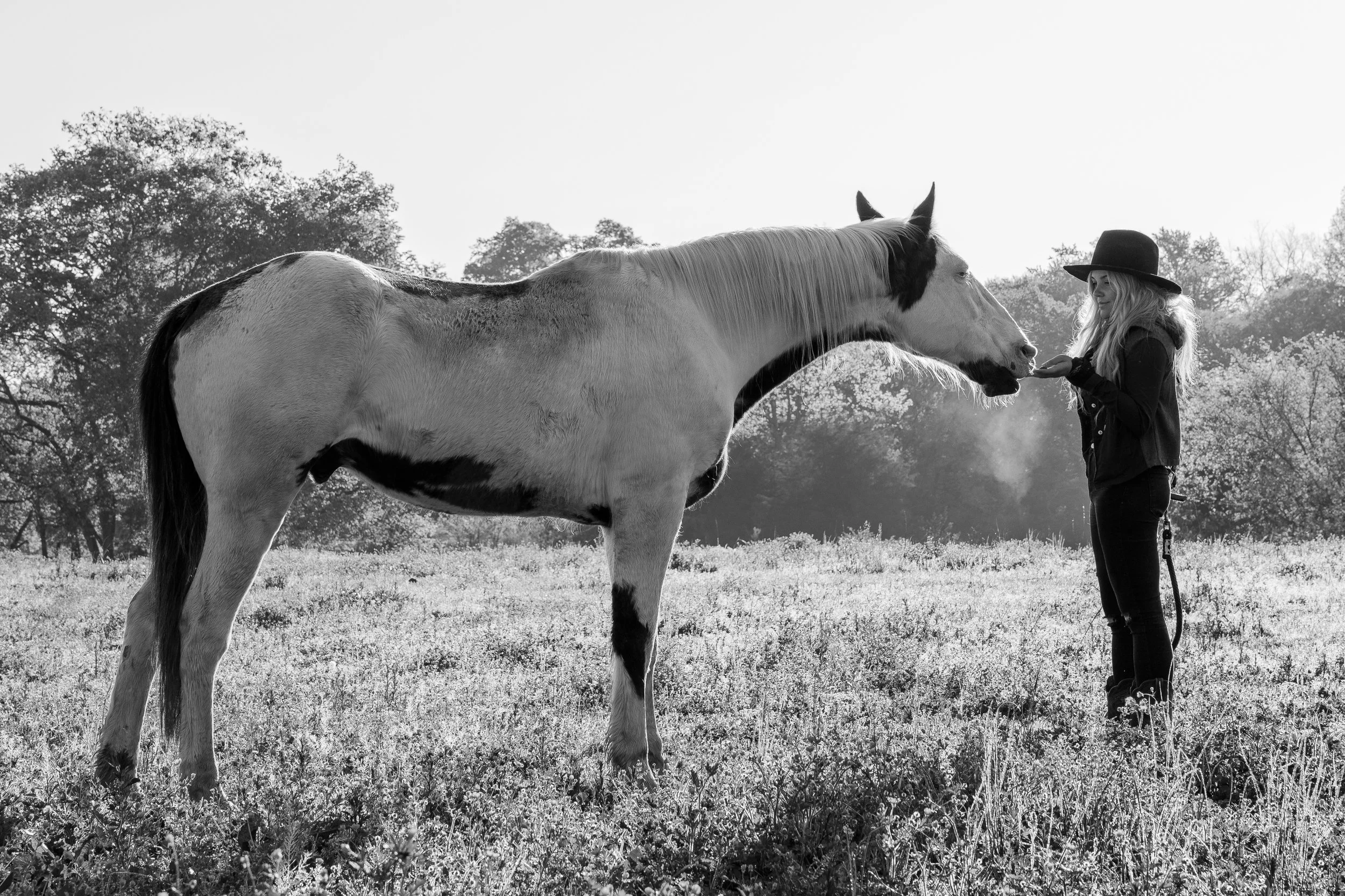 The Fire Horse Year, the Medicine Hat, and the river that carried me